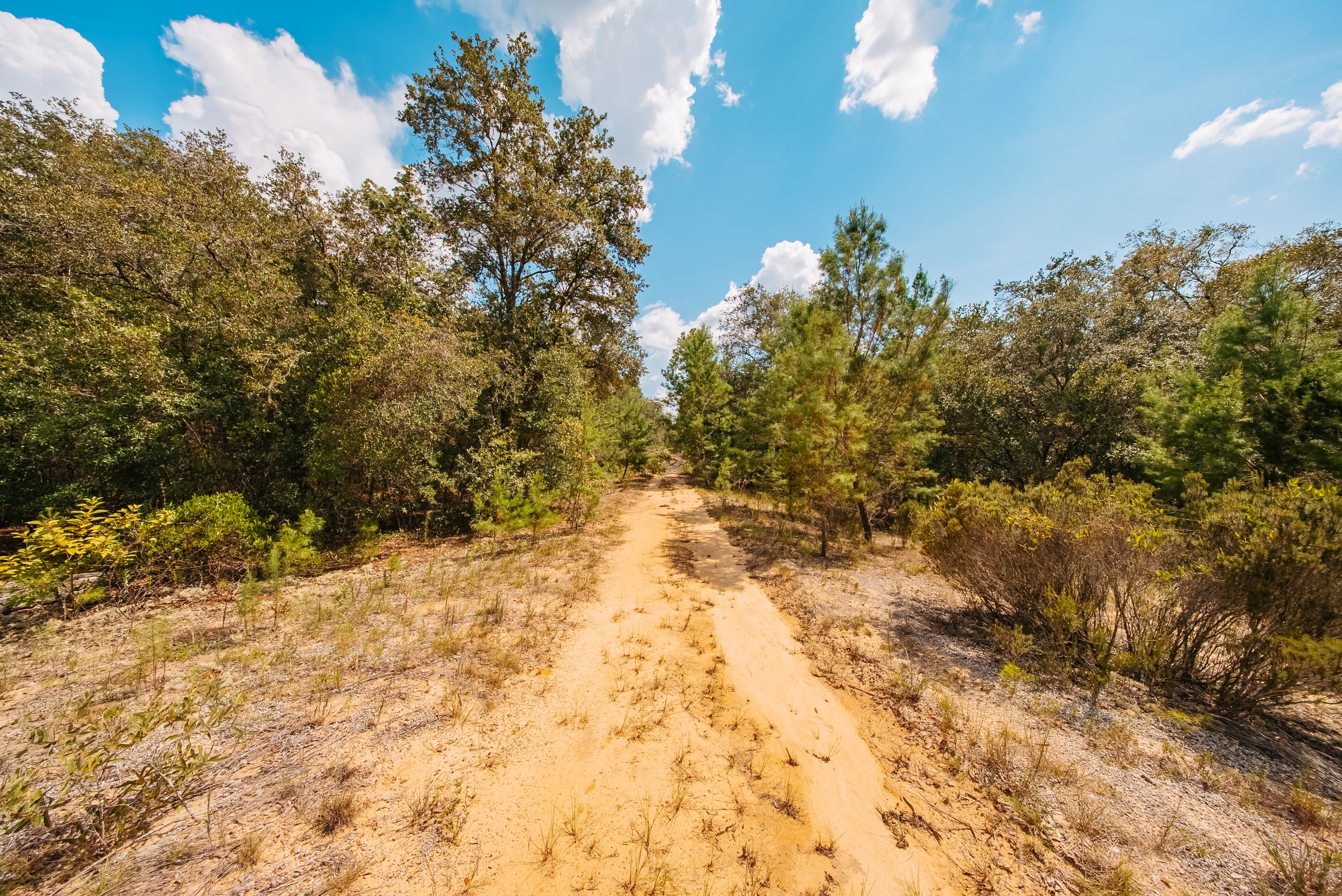 0.23 Acre Build-Ready Lot in Interlachen Lakes Estates — property view 6