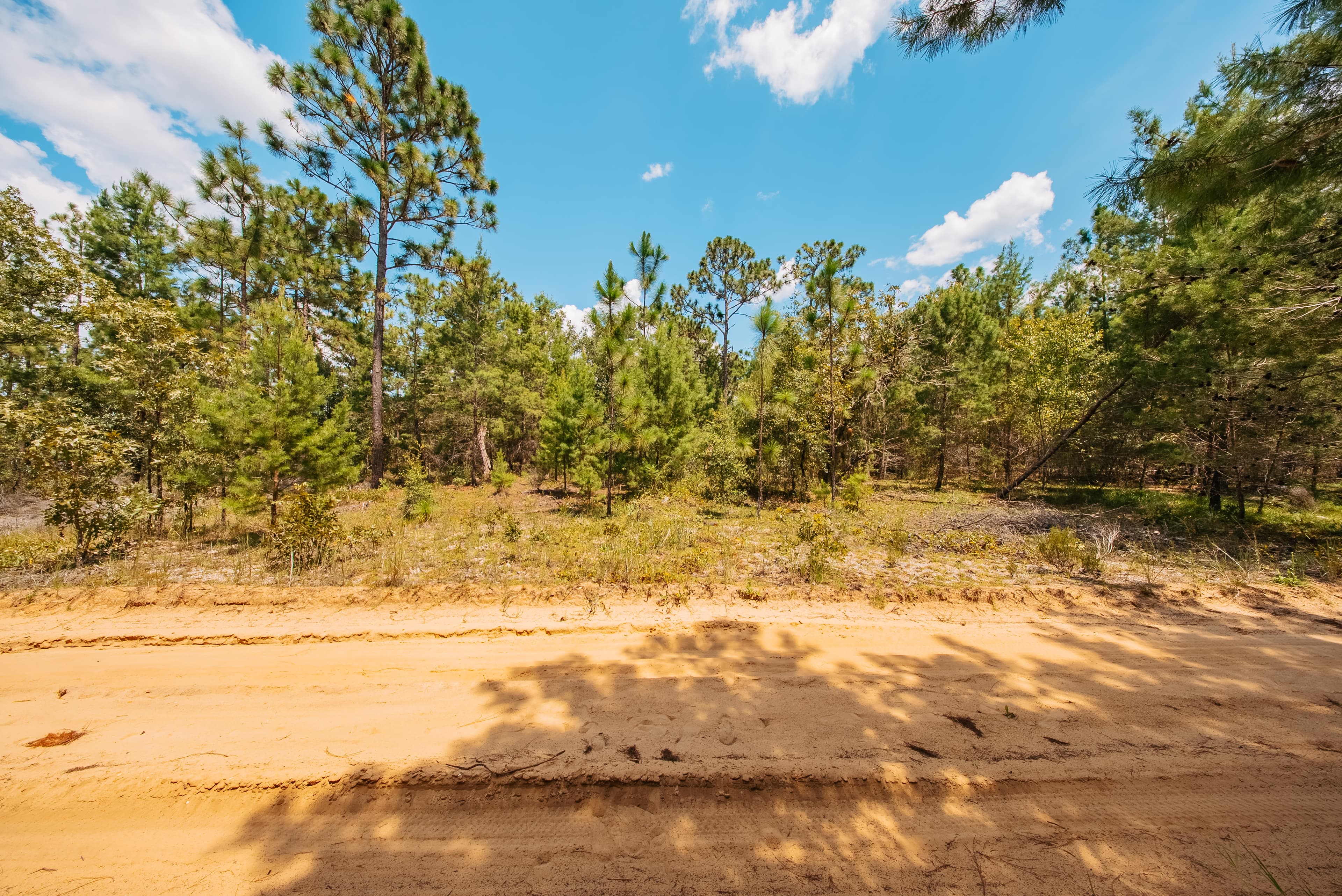 0.22 Acre Build-Ready Lot in Interlachen Lakes Estates — property view 12