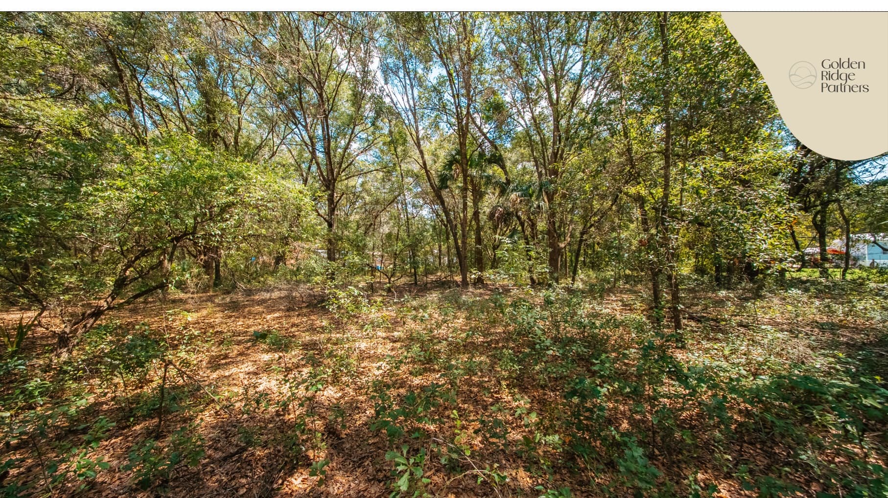 0.215 Acre Build-Ready Lot in Interlachen Lakes Estates — property view 15