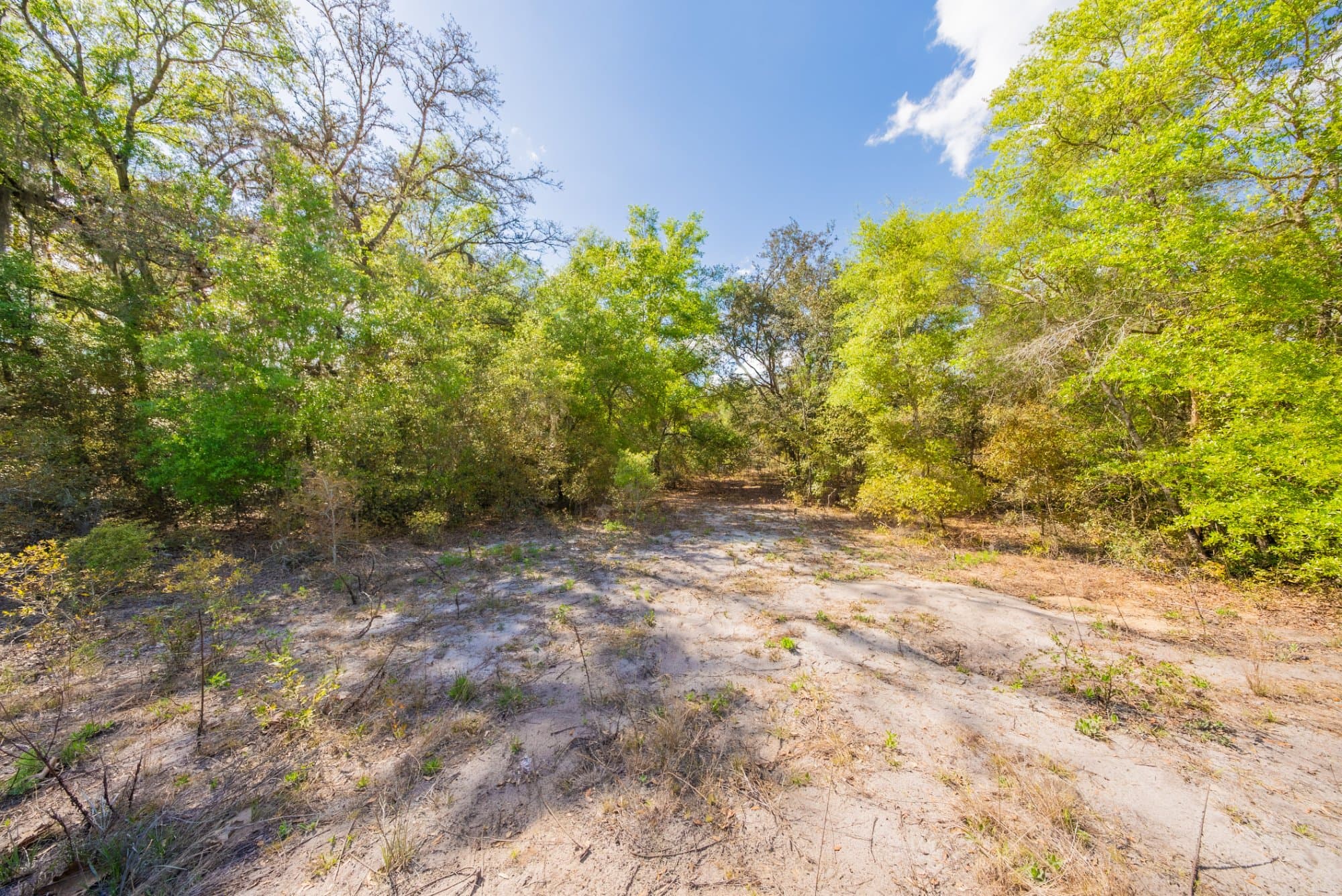 0.28 acre residential zoned land for sale in Putnam County, FL, photo 1