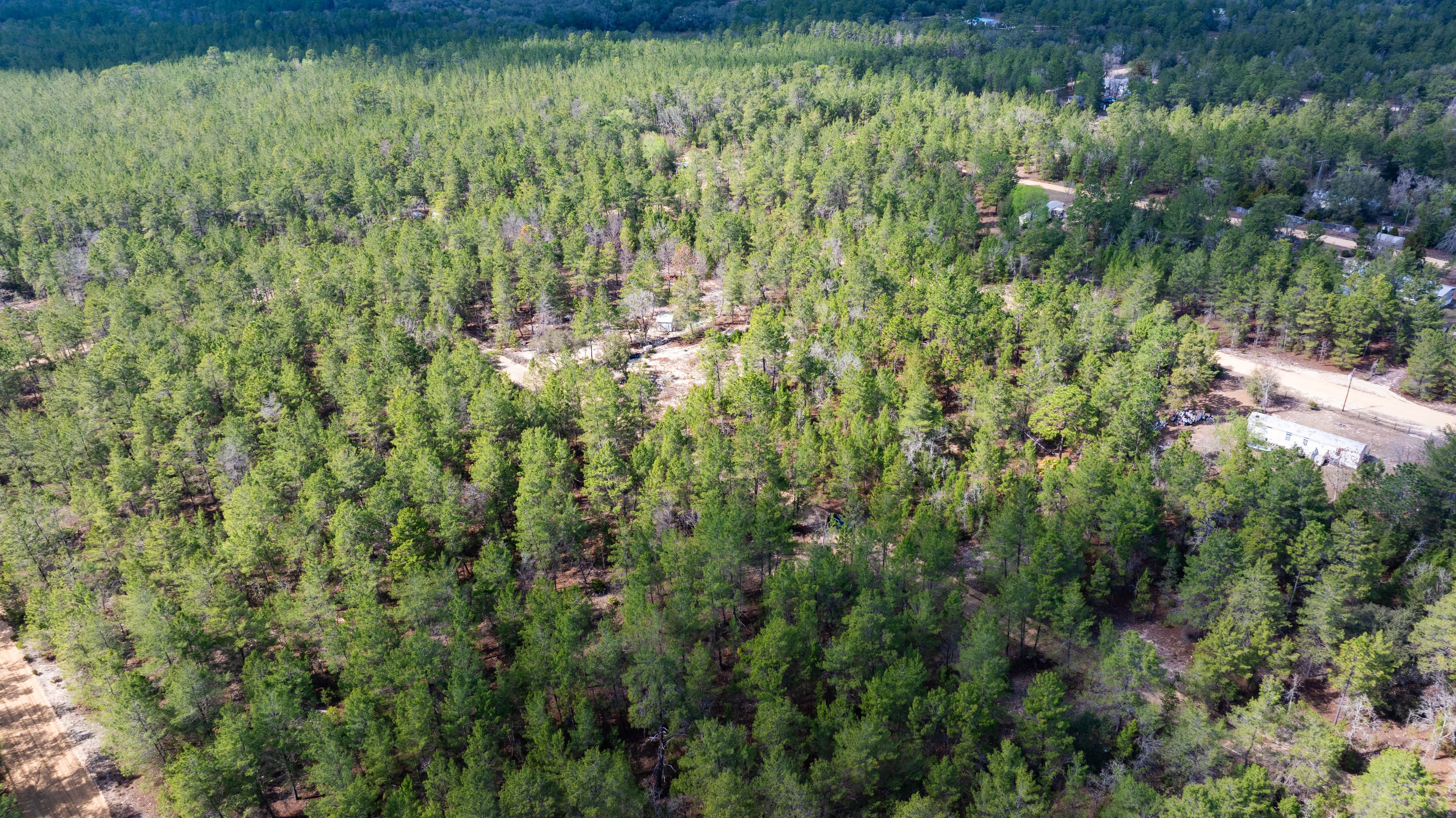 The Ridge Retreat: 0.4 Acres of Treed Privacy in Wild Florida — property view 5