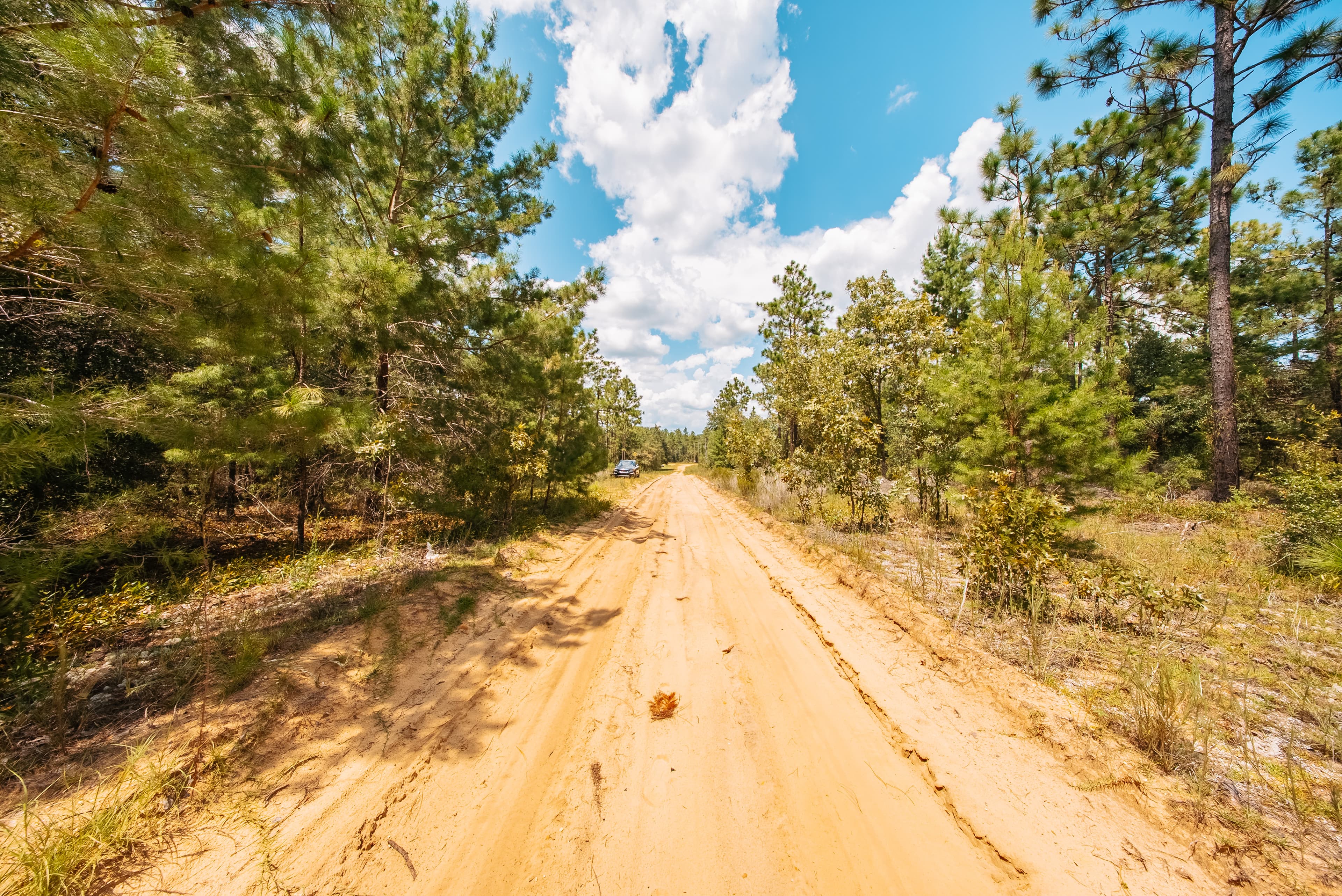 0.22 Acre Build-Ready Lot in Interlachen Lakes Estates — property view 6