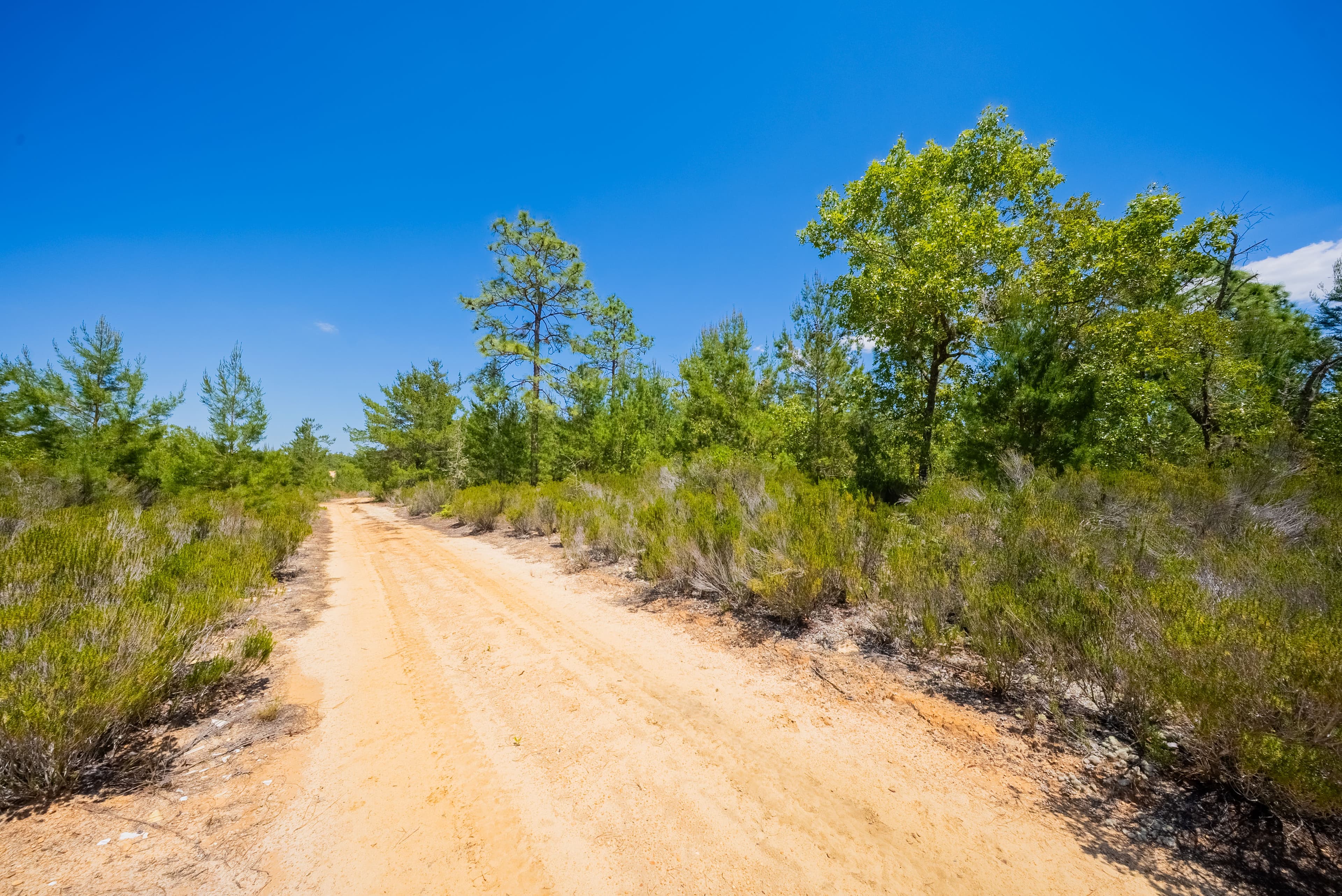 Elite 0.42-Acre High-Elevation Sanctuary – Rare 187ft Elevation Near Lake Lucy — property view 7