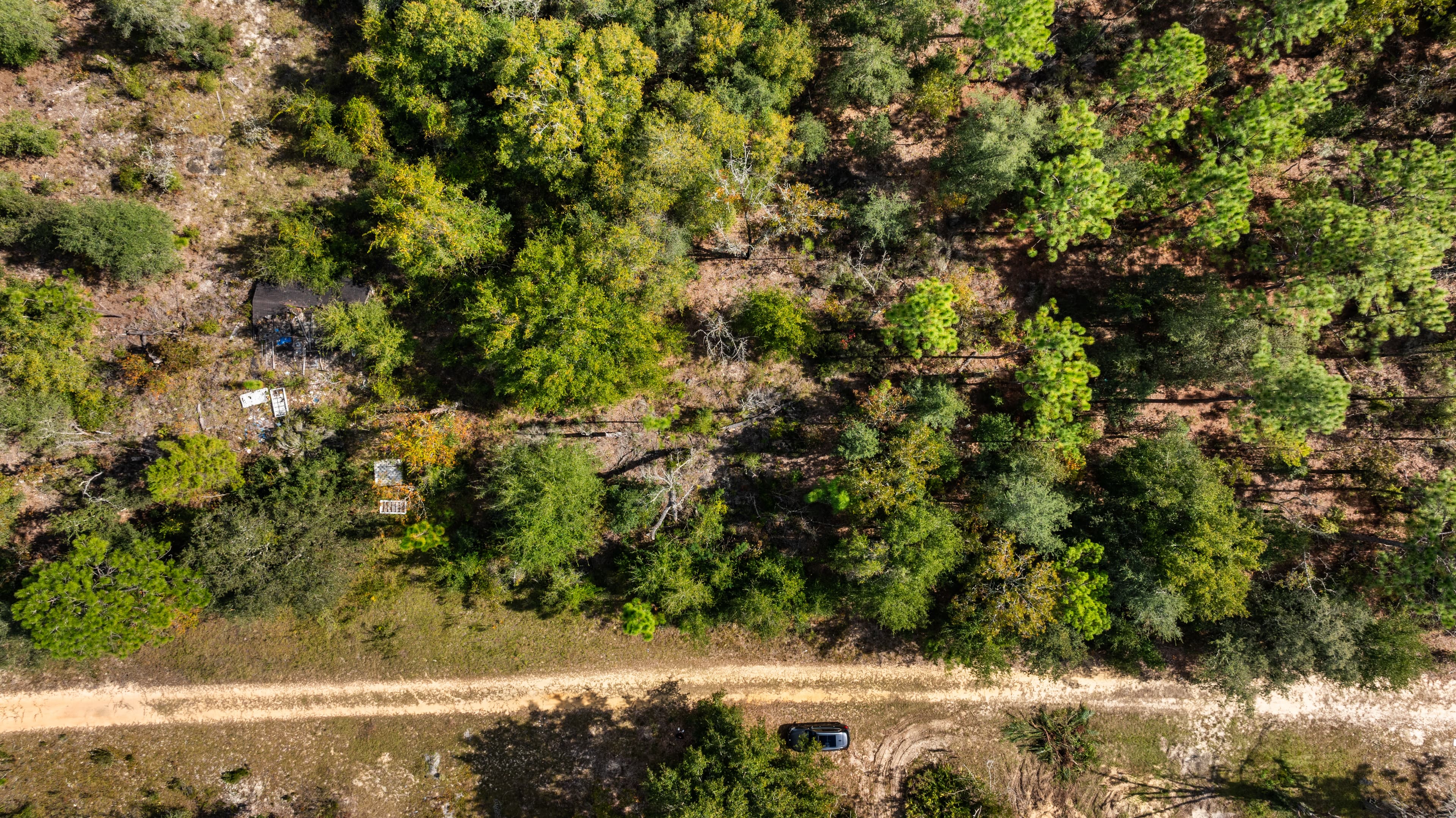 A New Chapter Awaits on Guy Avenue — property view 5