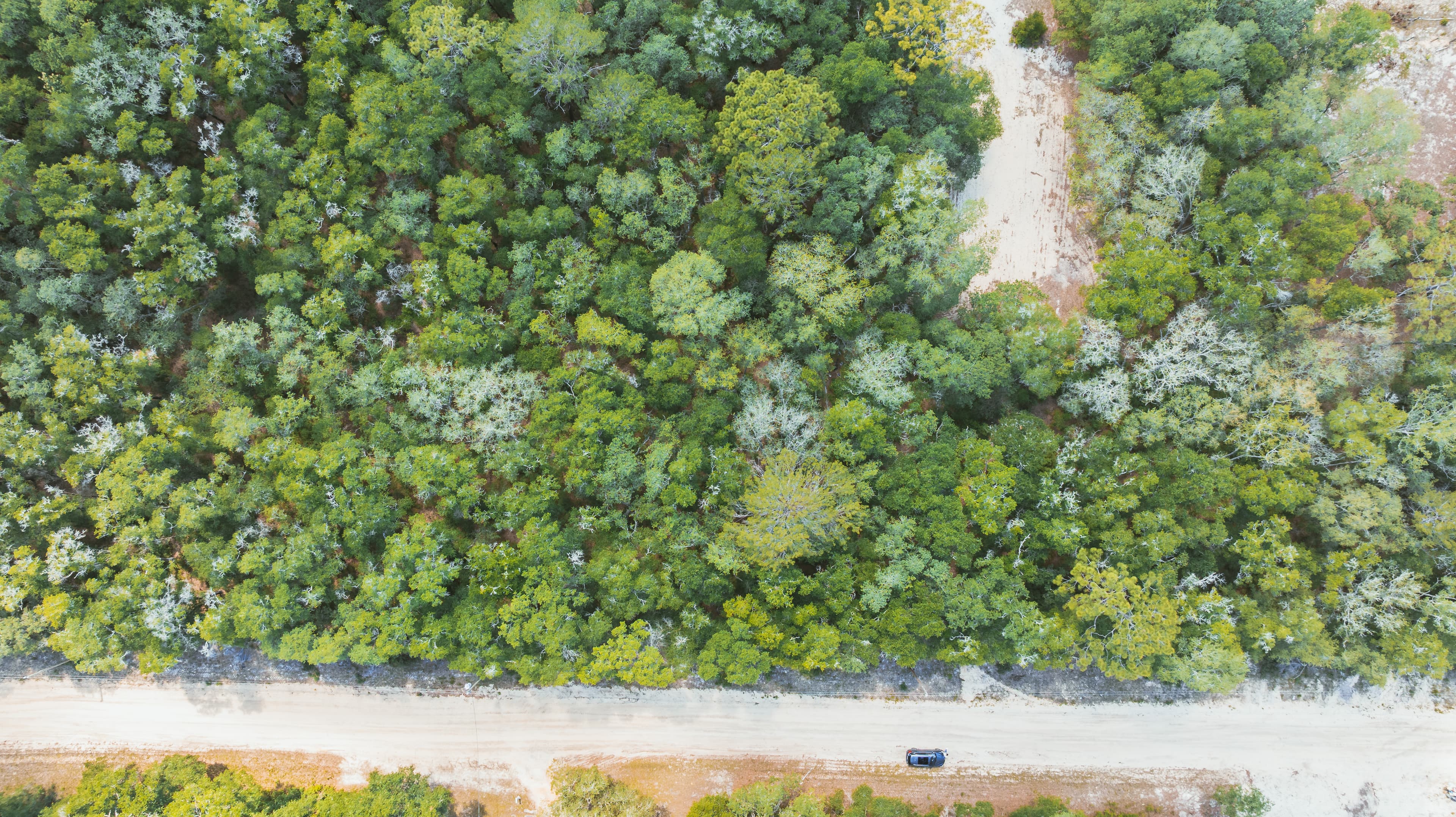 The Interlachen Summit: 0.22 Acres at an Incredible 205ft Elevation — property view 5