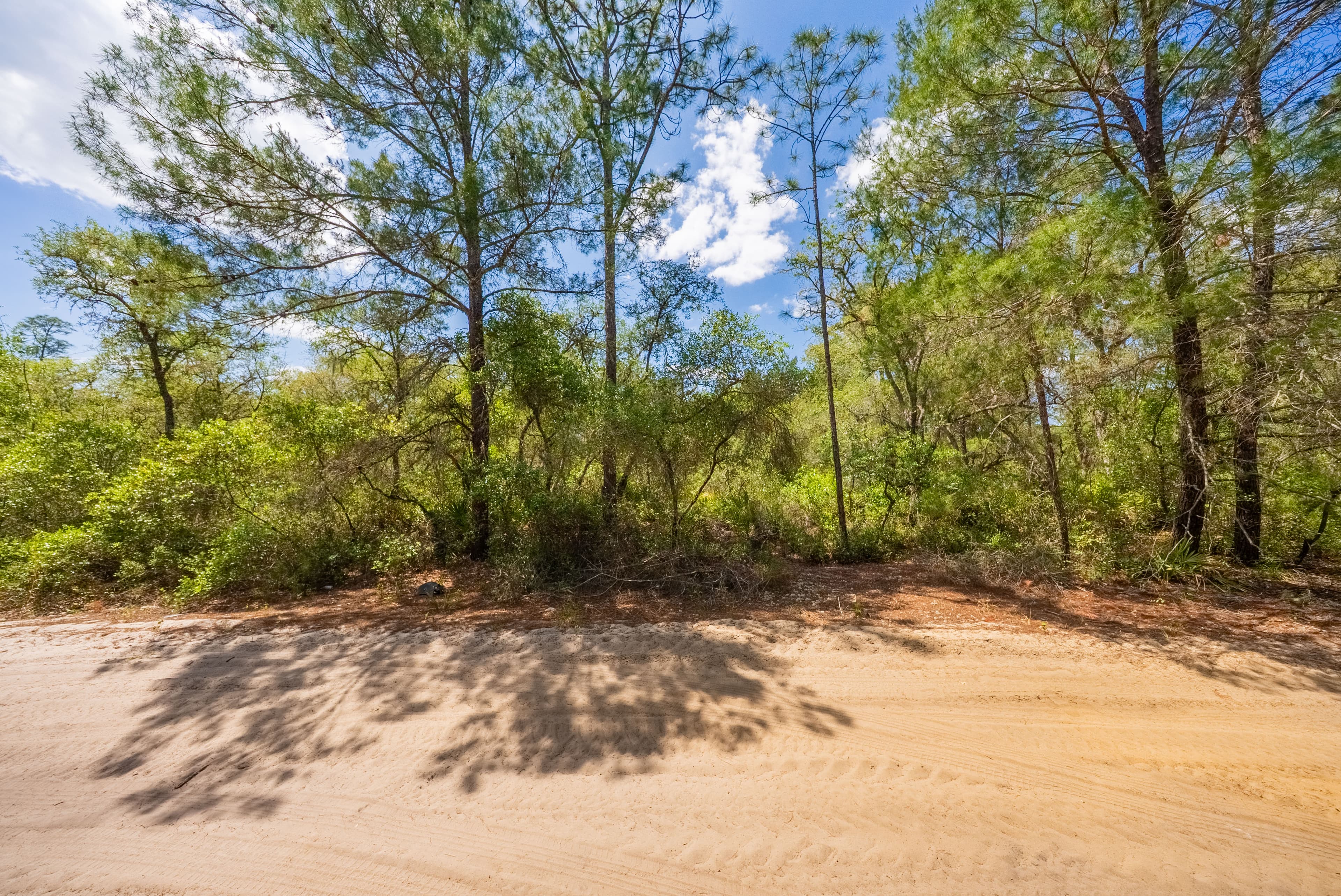 0.156 Acre Build-Ready City Lot with Water & Sewer in Sebring — property view 11