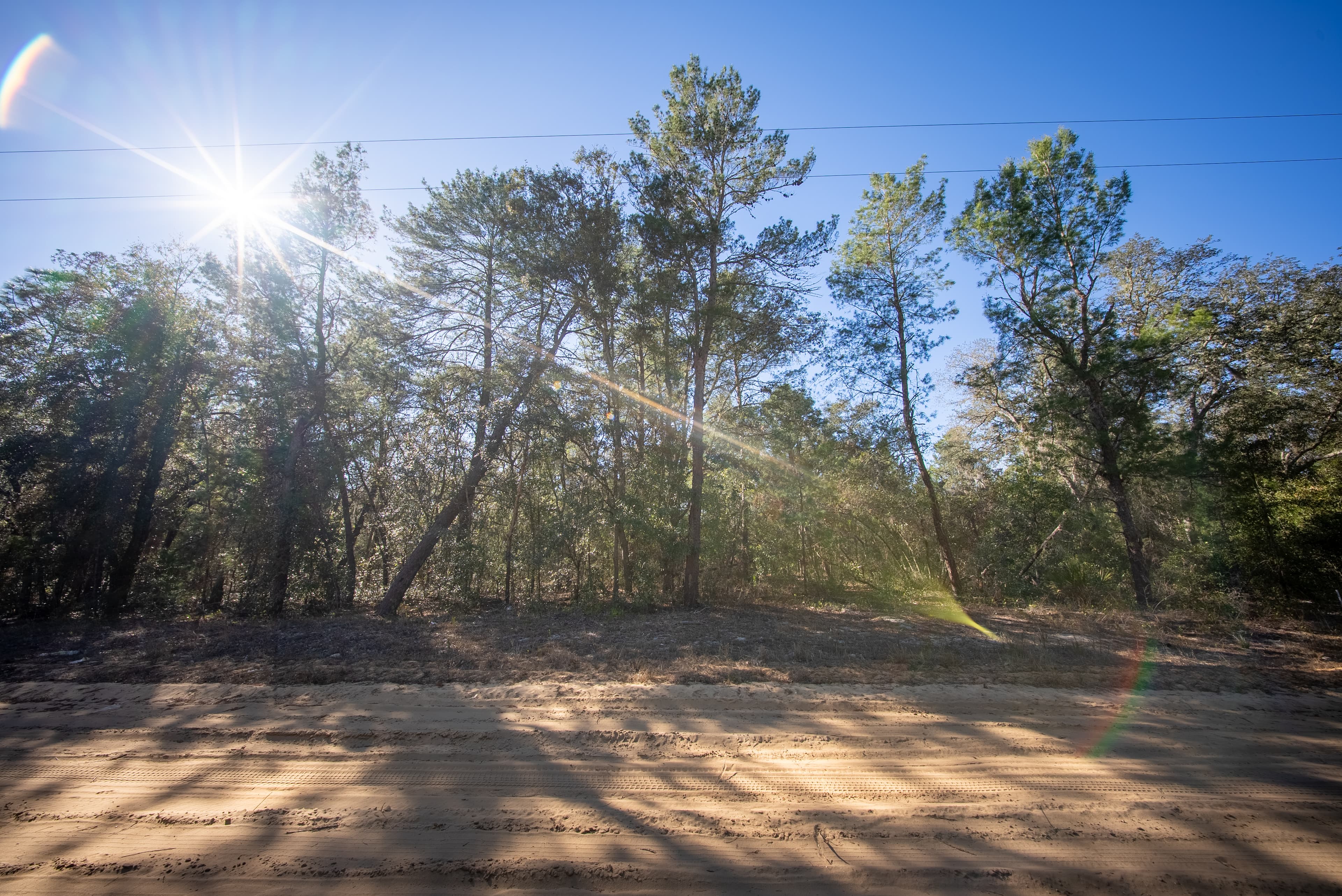 High Ground Harmony in Frederick Town — property view 11