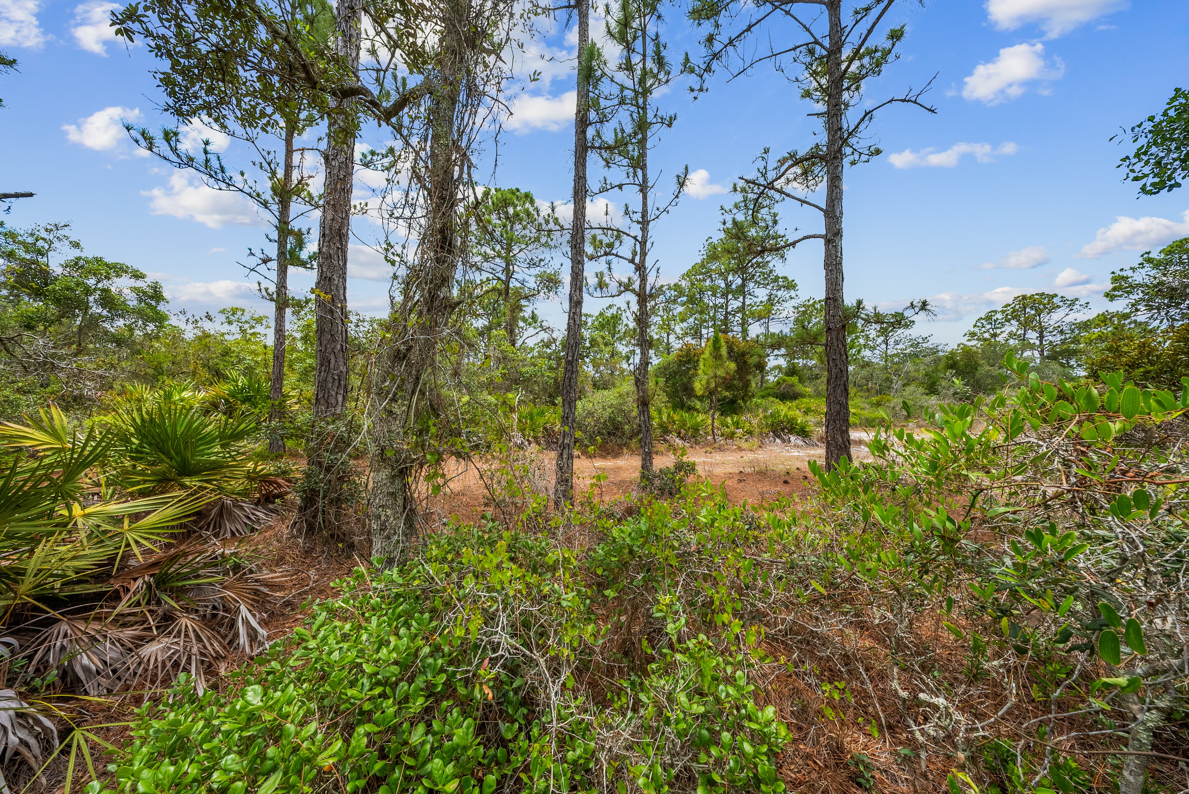 Anchor Your Dreams on Showboat Ave: 0.23 Acres of Wooded Serenity — property view 8