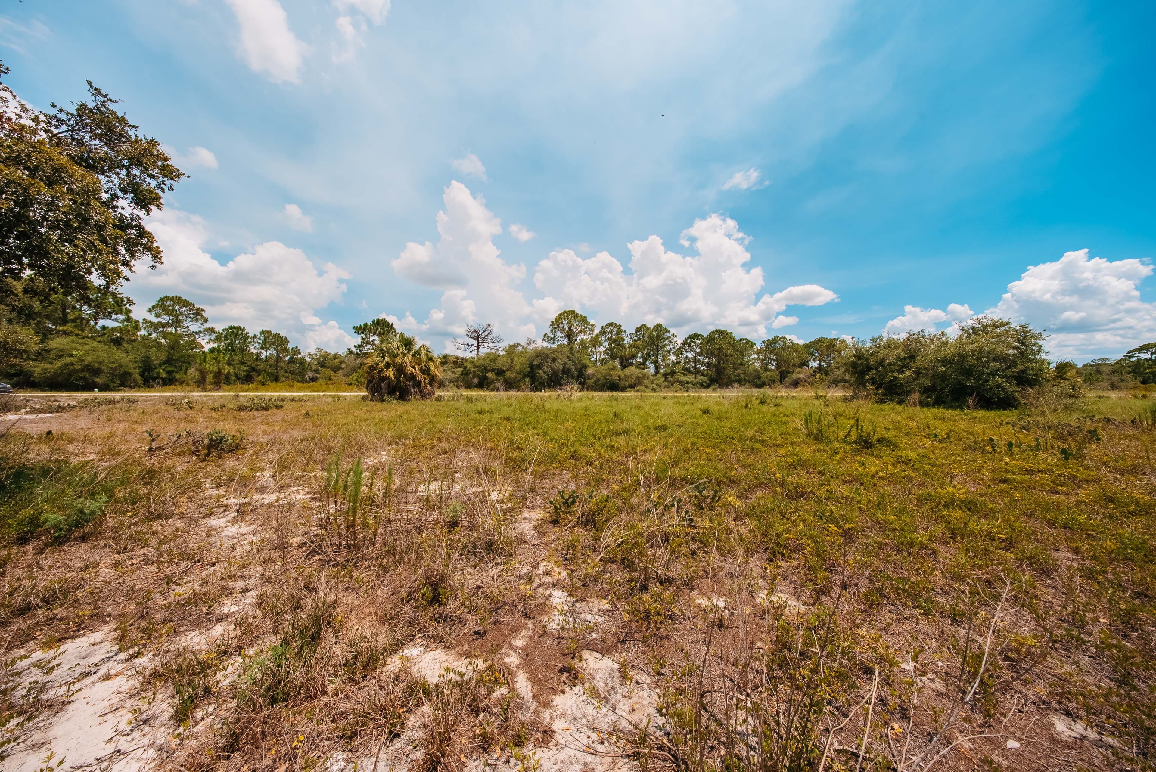  0.23 Acre Build-Ready Lot in Sun N Lakes, Lake Placid — property view 12