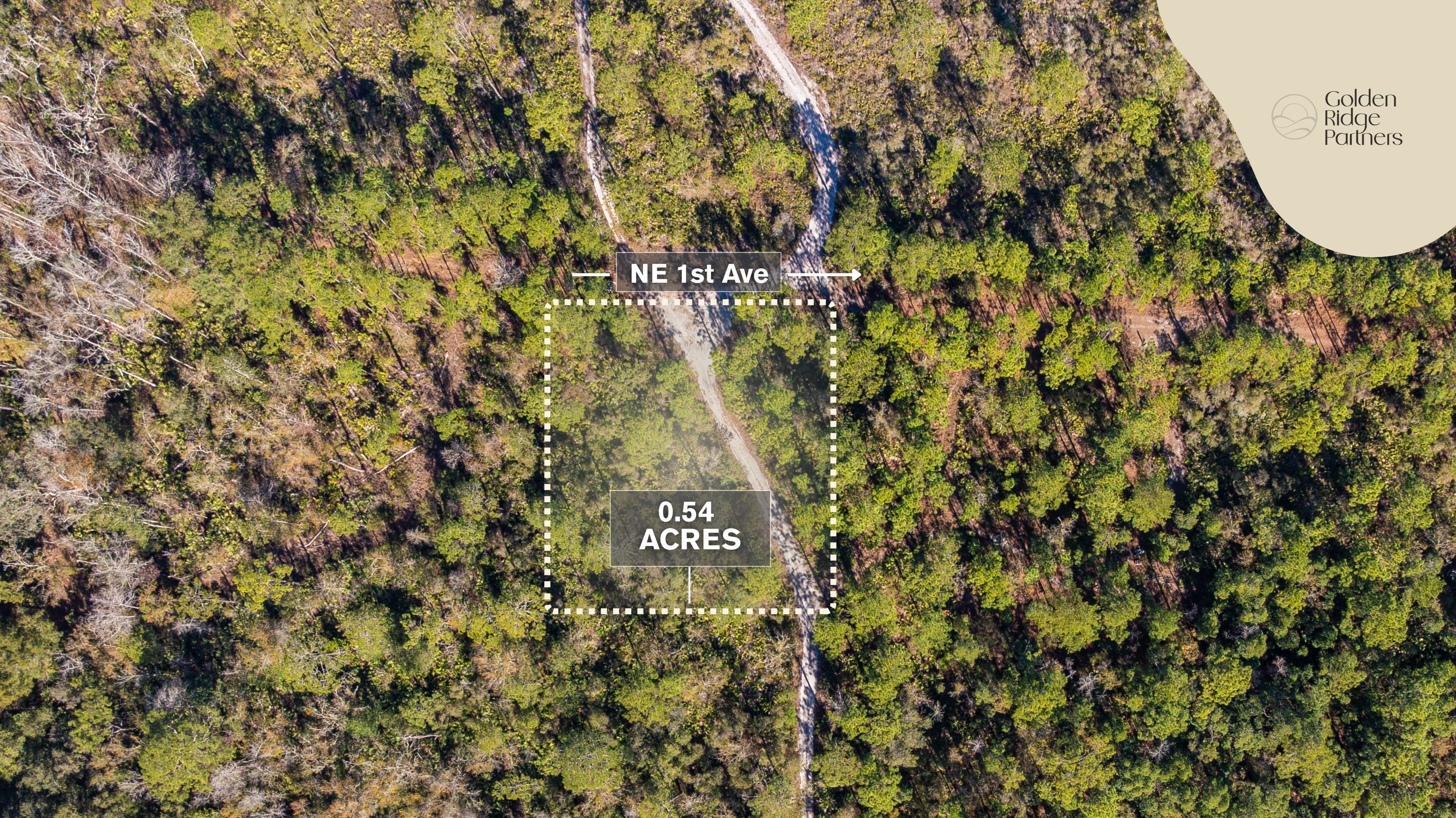 0.54 acre agricultural zoned land for sale in Putnam County, FL — photo 2