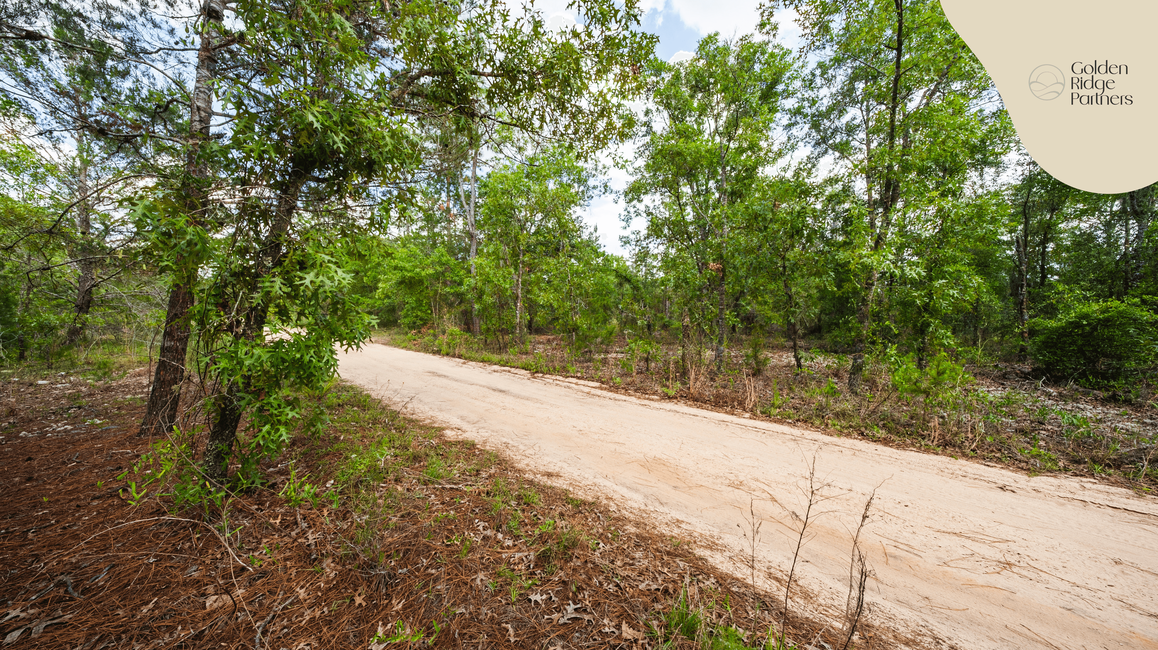 0.25 acre residential zoned land for sale in Putnam County, FL — photo 3