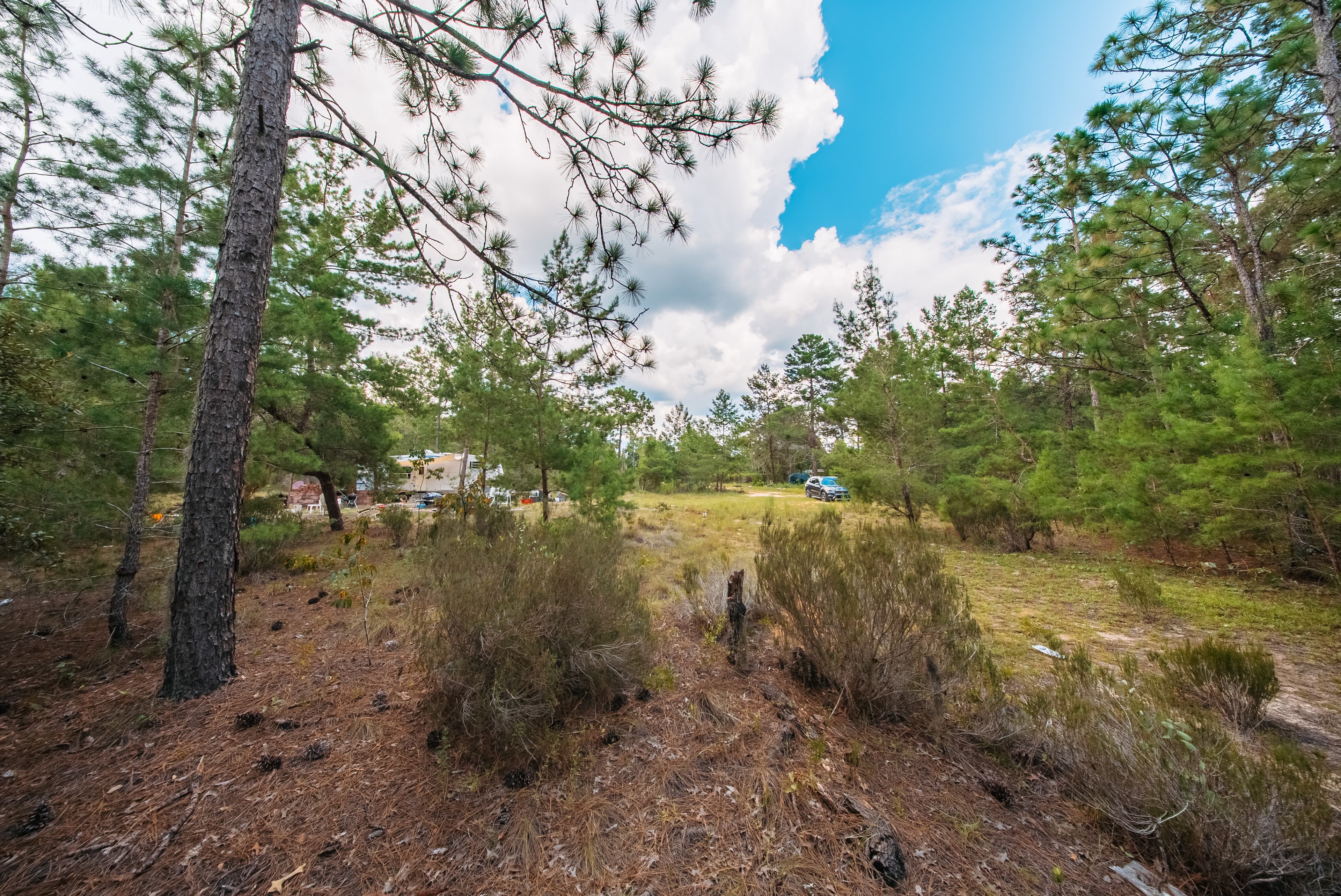 0.23 acre residential zoned land for sale in Putnam County, FL — photo 4
