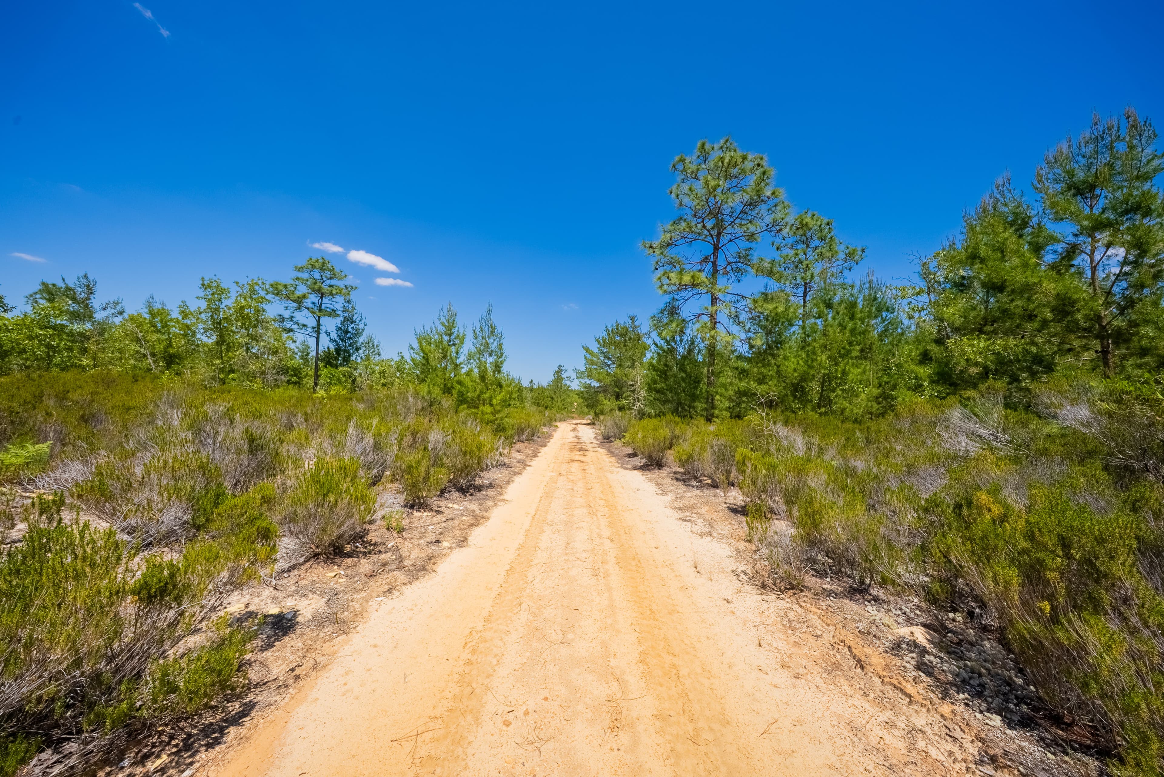 Elite 0.42-Acre High-Elevation Sanctuary – Rare 187ft Elevation Near Lake Lucy — property view 8