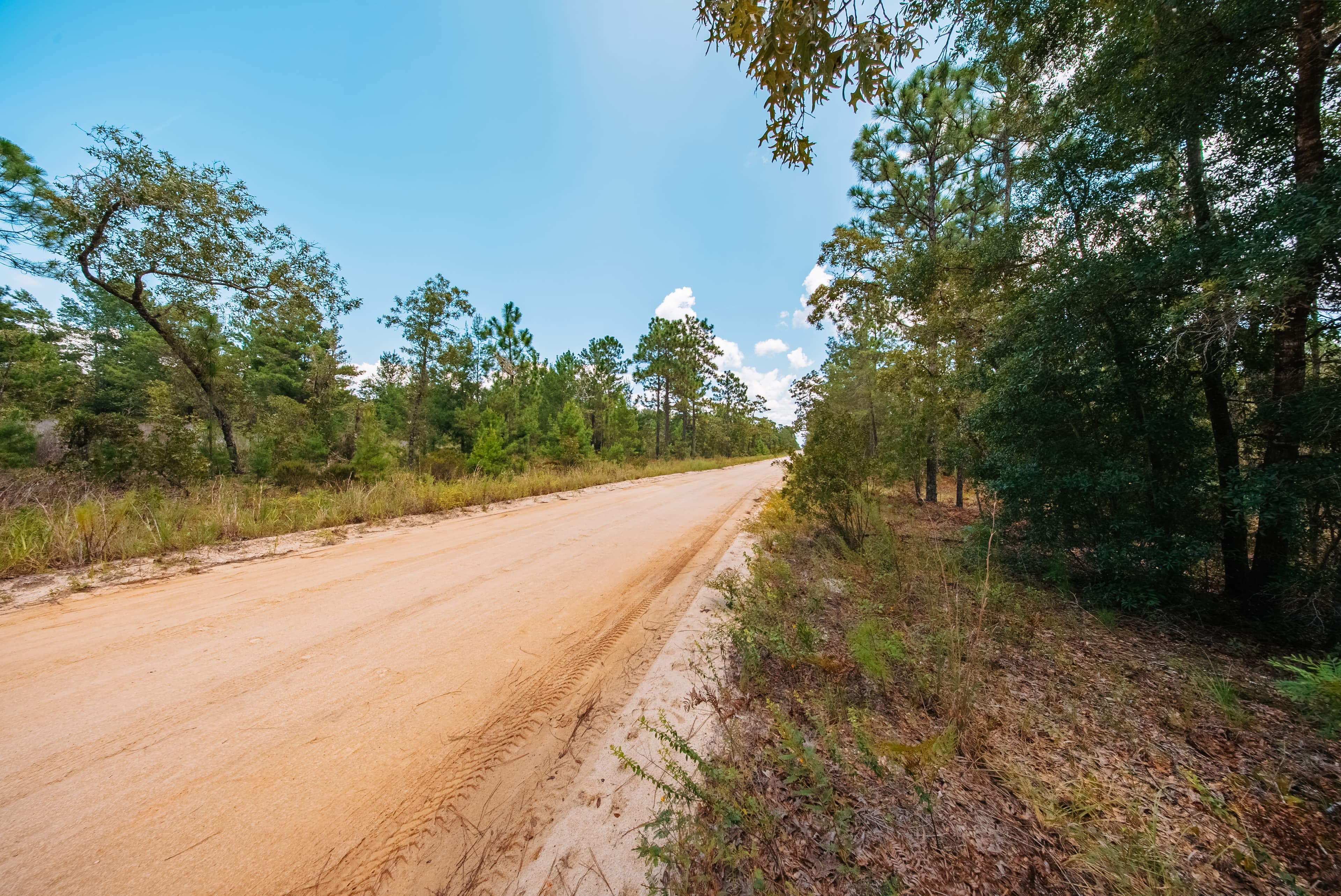 0.9 acre residential zoned land for sale in Putnam County, FL — photo 4
