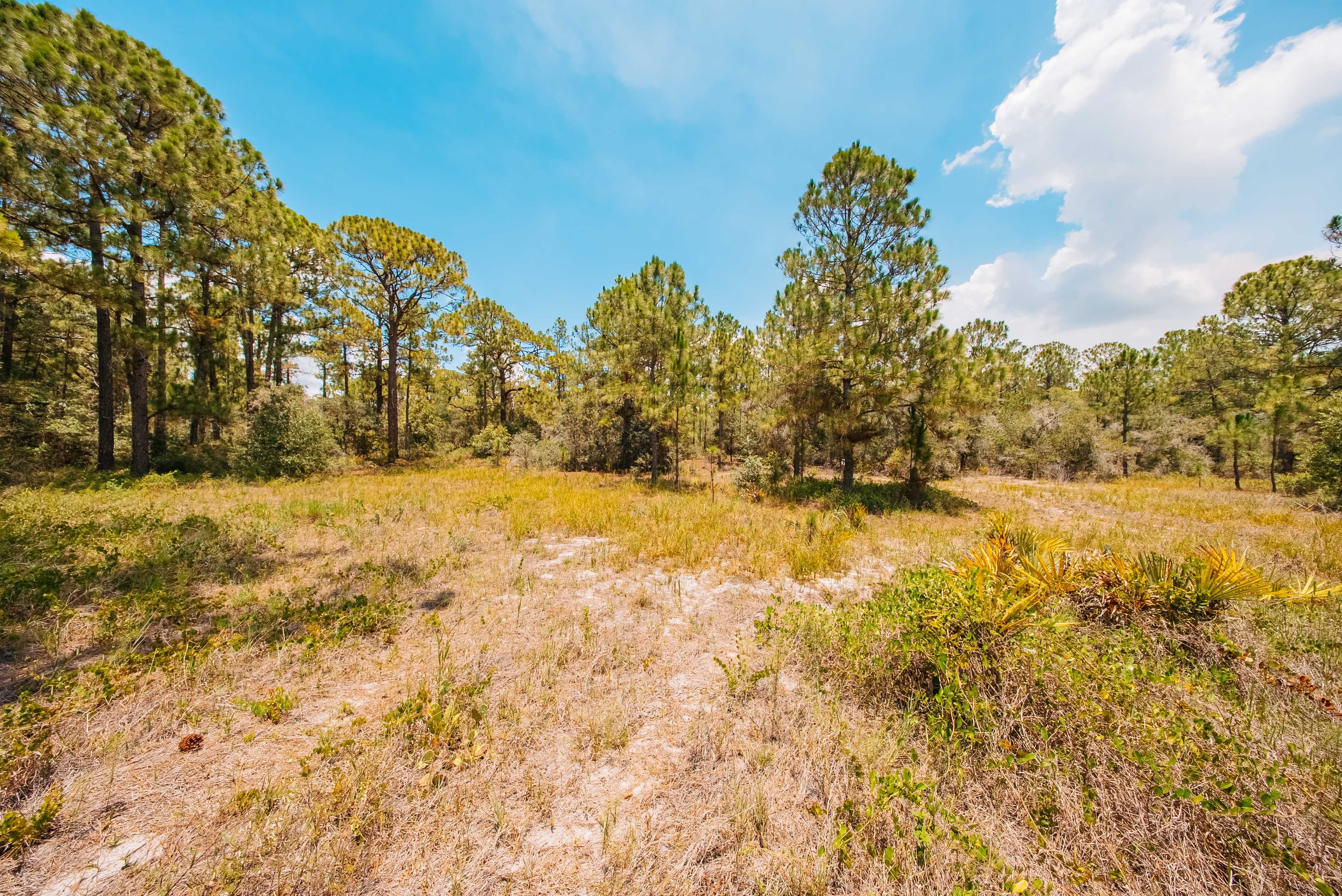 0.20 Acre Build-Ready Lot in Sun 'N Lakes, Lake Placid — property view 5