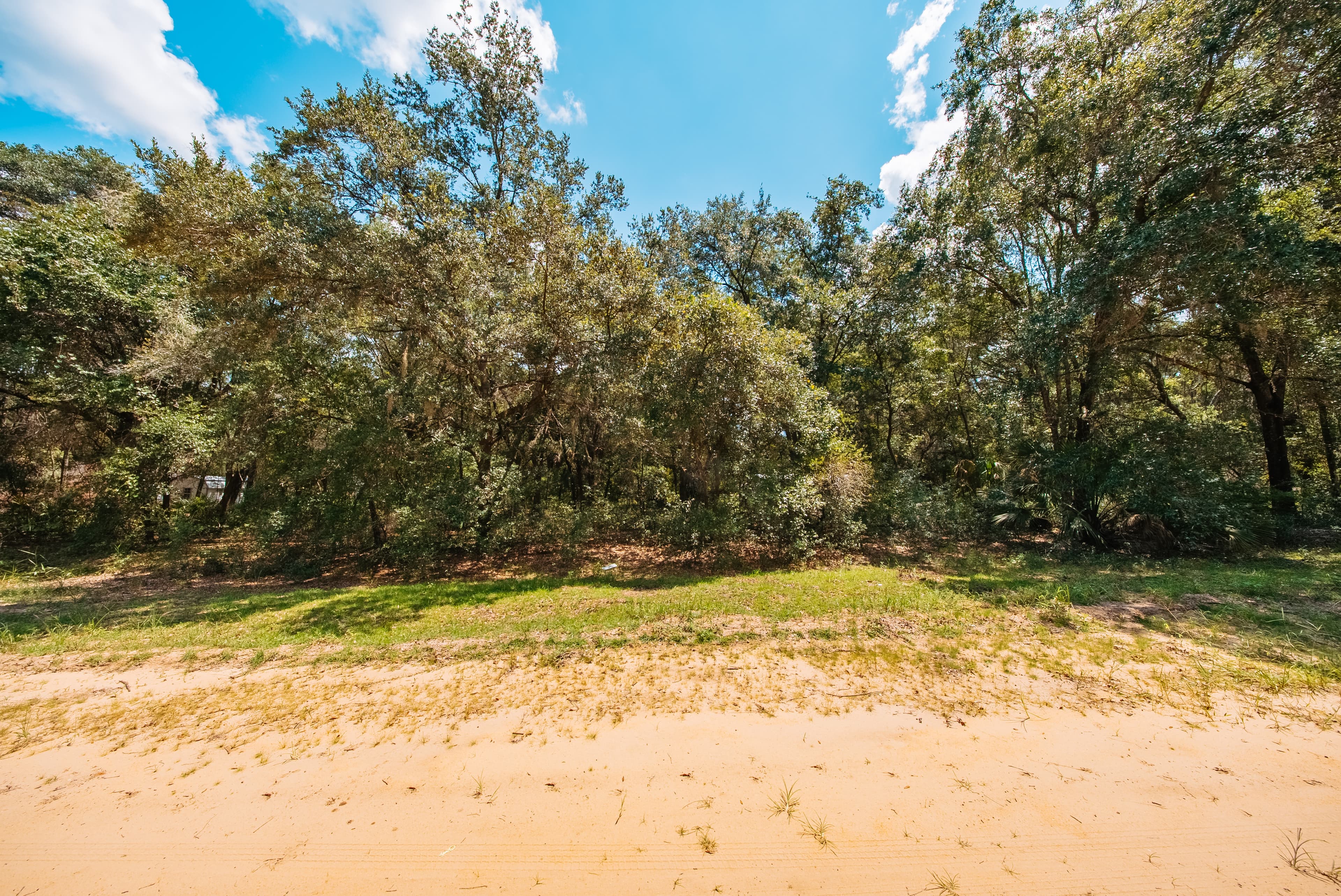 0.215 Acre Build-Ready Lot in Interlachen Lakes Estates — property view 11