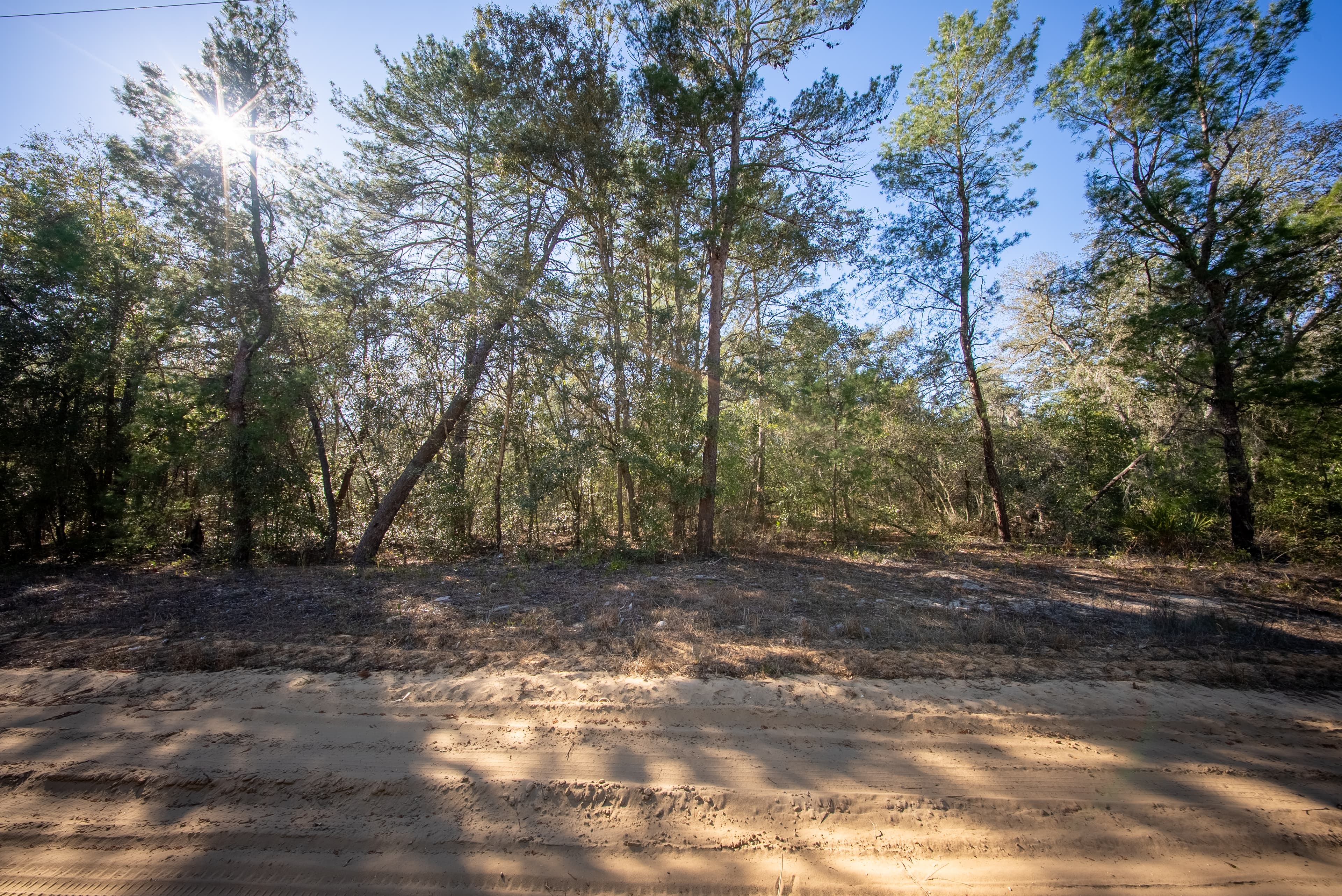 High Ground Harmony in Frederick Town — property view 12