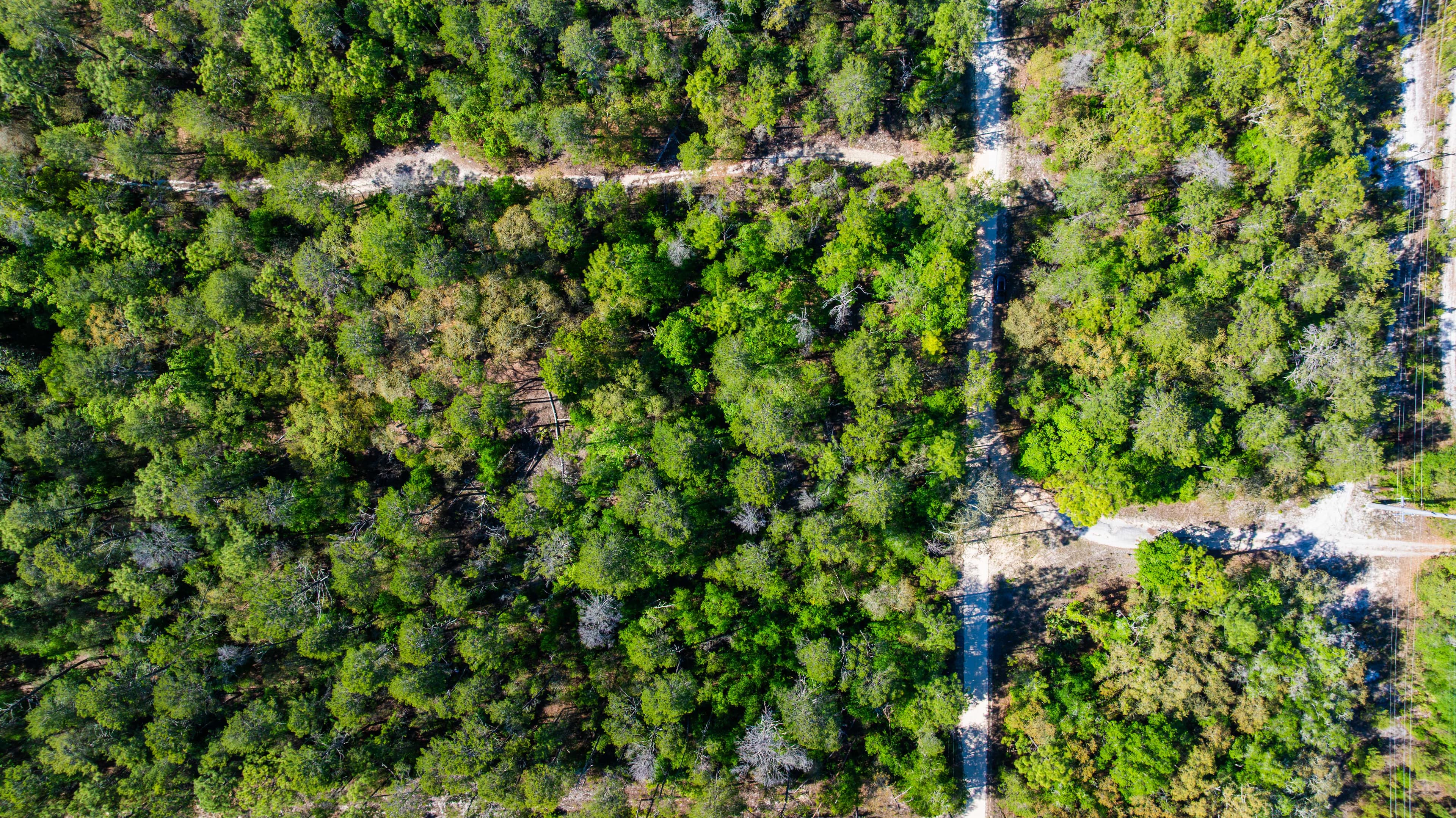 Your 0.23 Corner Lot Opportunity in St. Johns Riverside Estates — property view 7