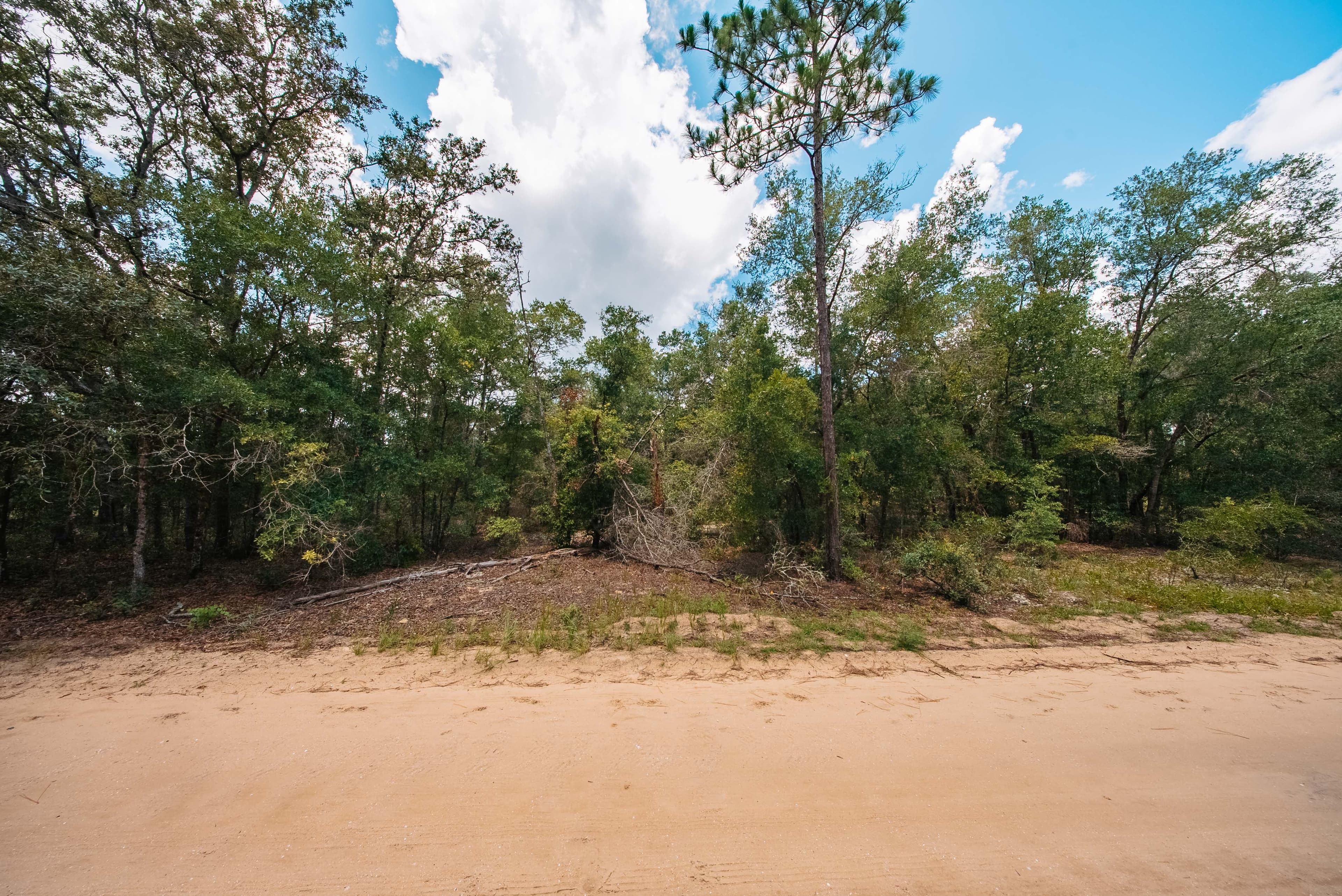 0.20 Acre Build-Ready Lot in West Lake Estates, Interlachen — property view 9