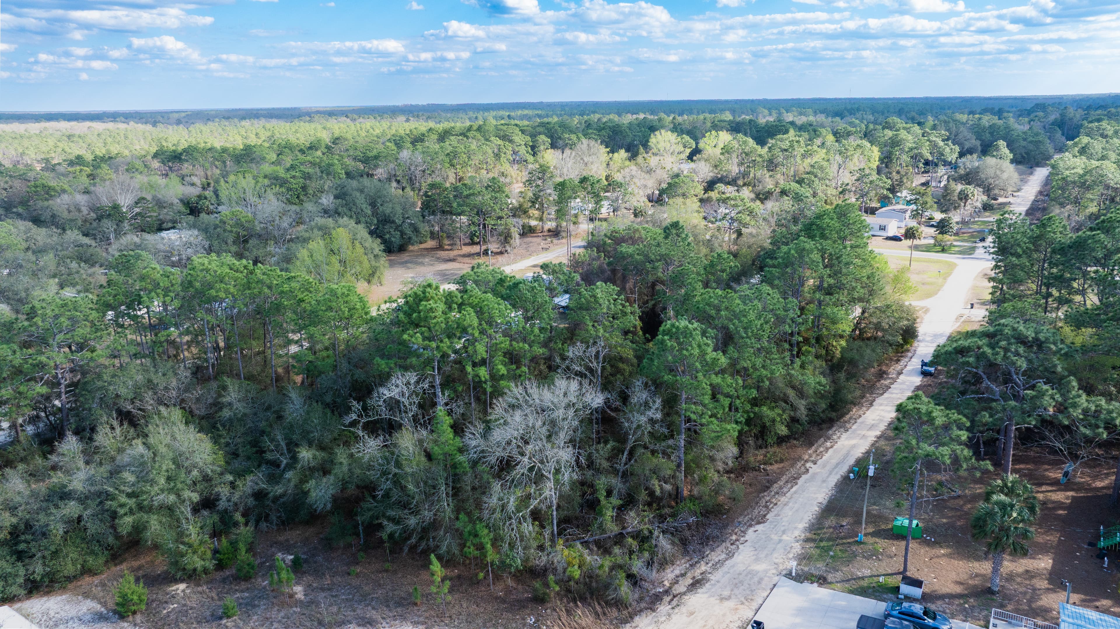 Riverside Retreat: 0.23 Acres on the St. Johns in Wild Florida — property view 5