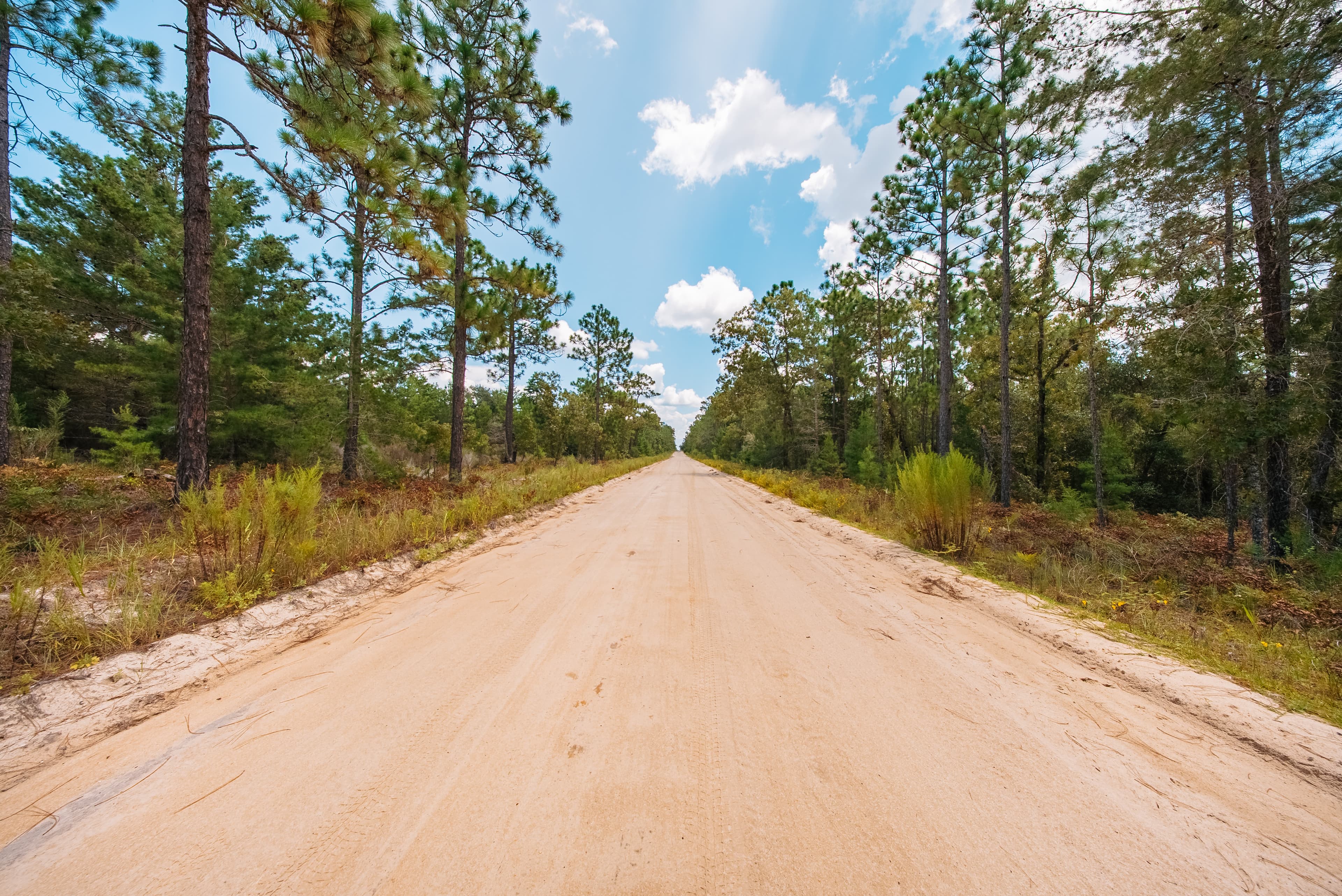 0.90 Acre Premium Lot in Mariners Lake Heights, Interlachen — property view 6