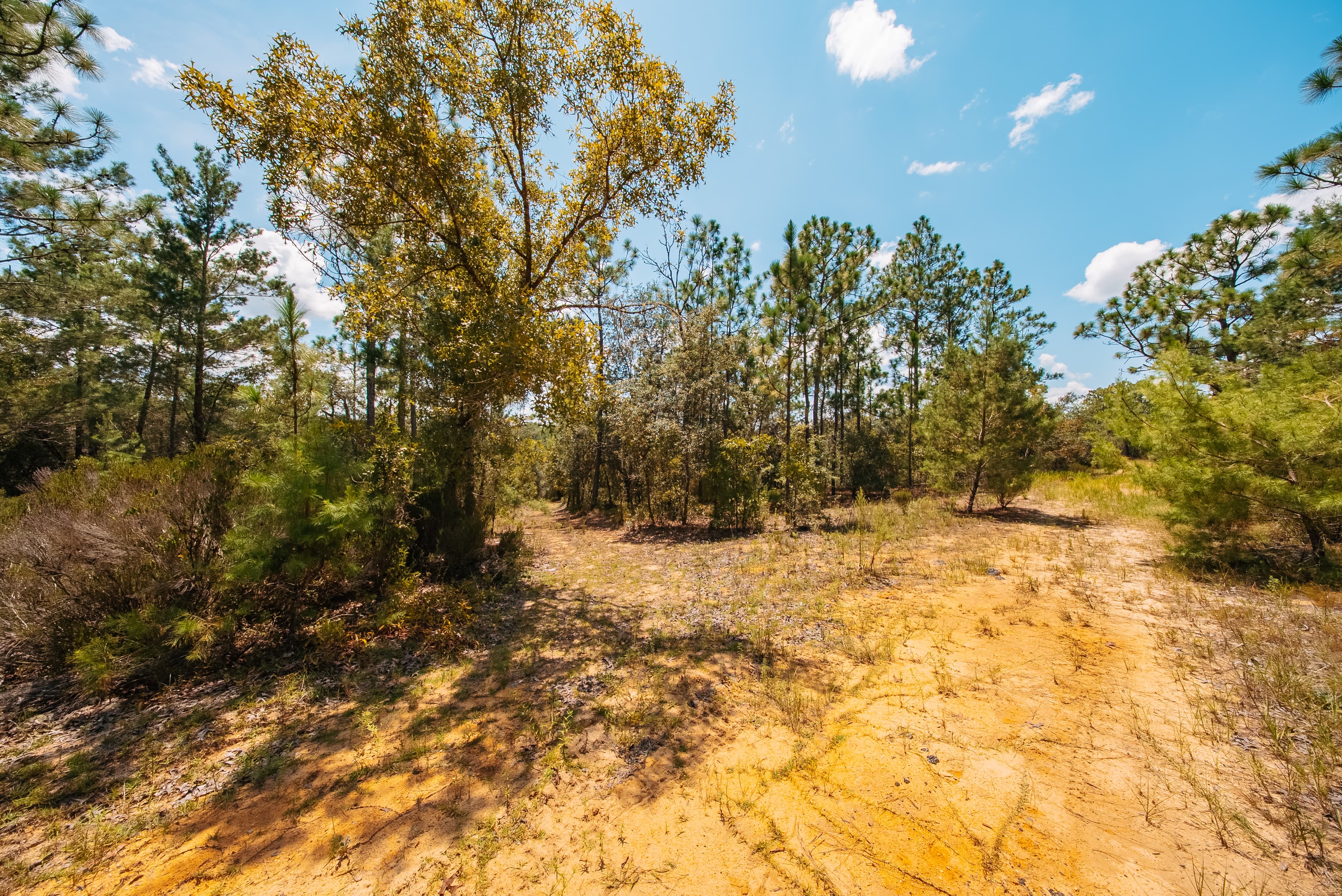 1.03 Acre Premium Estate Lot in Mariners Lake Heights, Interlachen — property view 12