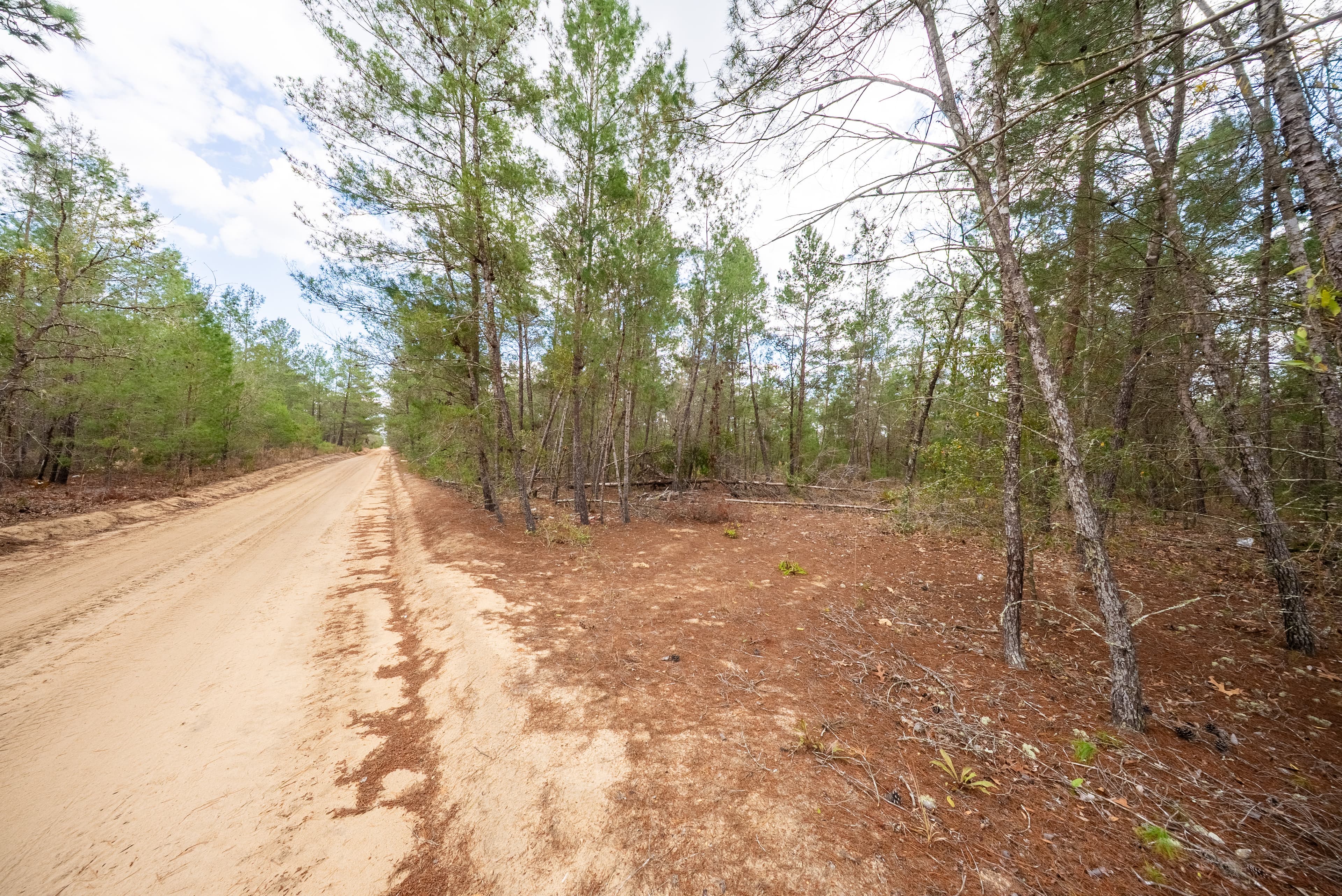 Build Your Legacy: Affordable Sunshine on 0.4 Unrestricted Acres — property view 9
