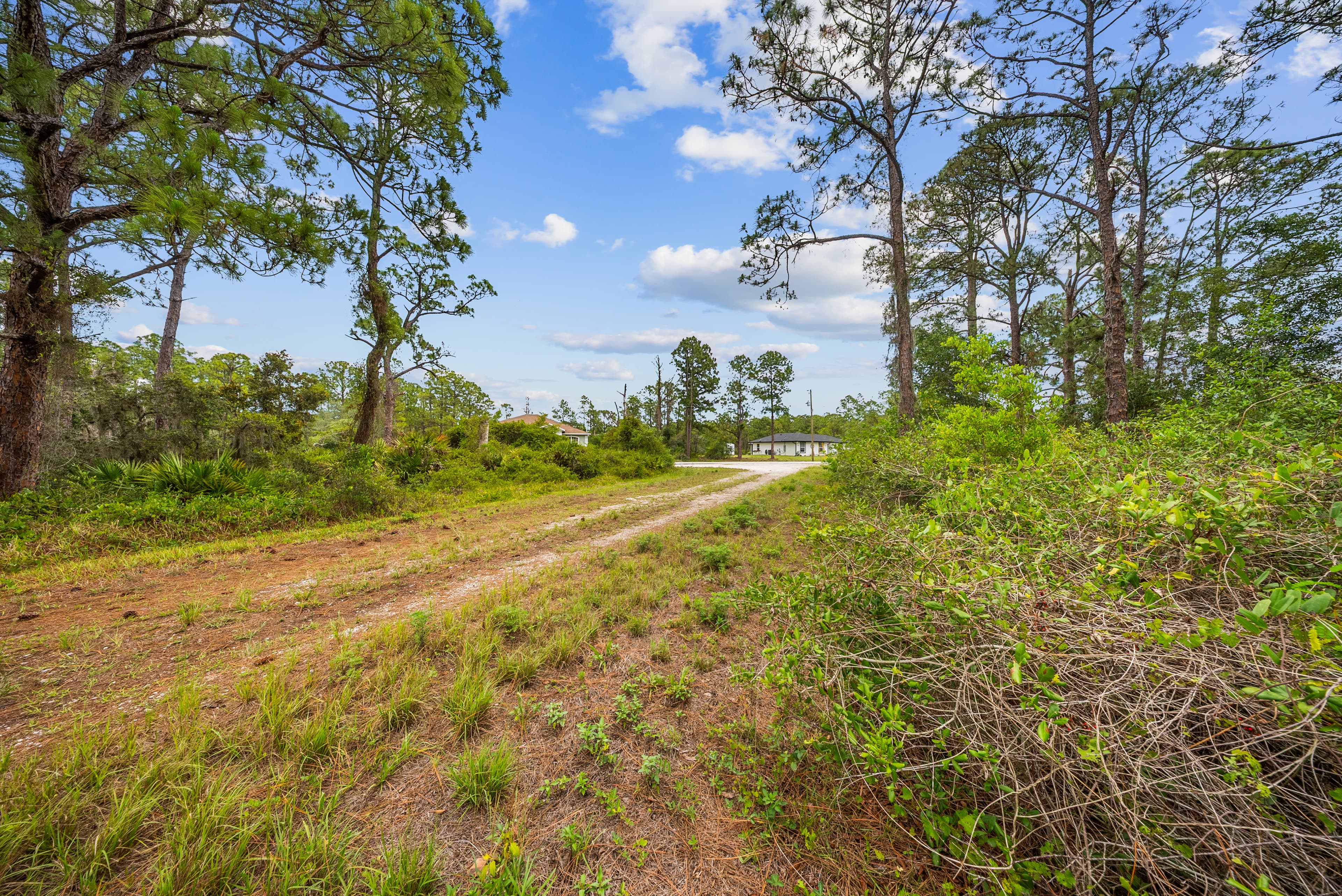 Summertime Summit: 0.23 Acres of Premium Site-Built Land at 144ft Elevation — property view 14