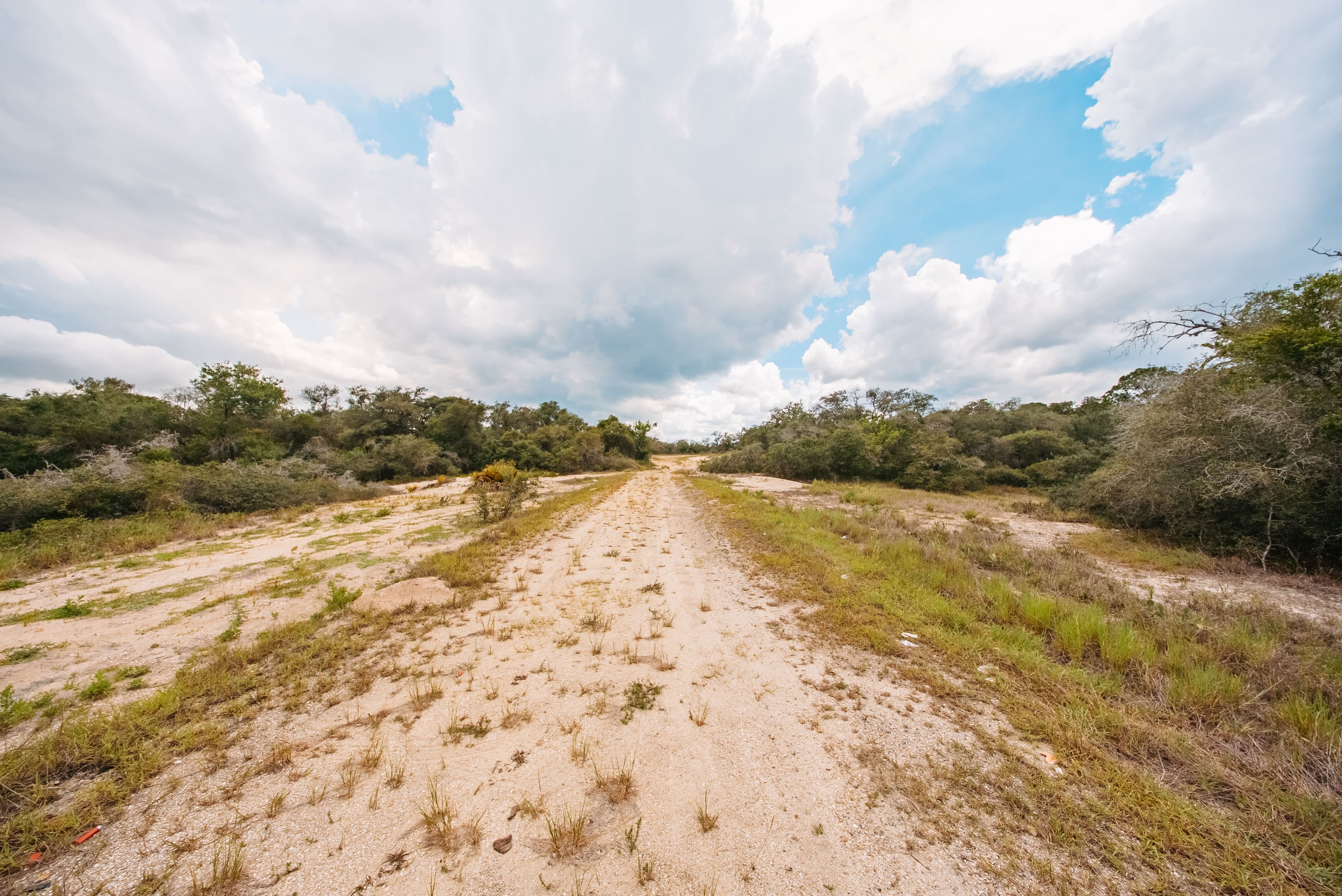 0.23 Acre Build-Ready Lot in Sun N Lakes, Lake Placid — property view 7