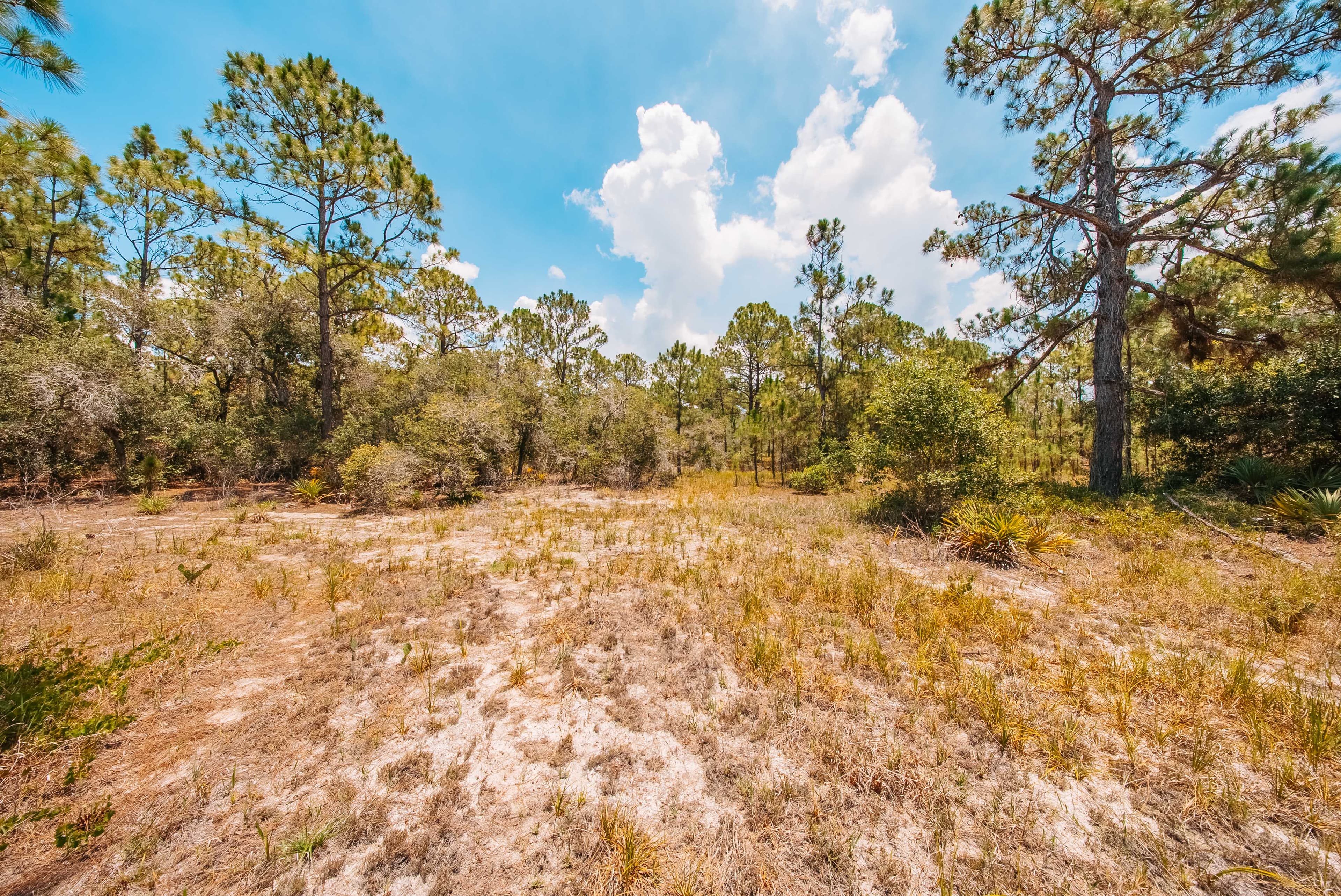 0.20 Acre Build-Ready Lot in Sun 'N Lakes, Lake Placid — property view 6