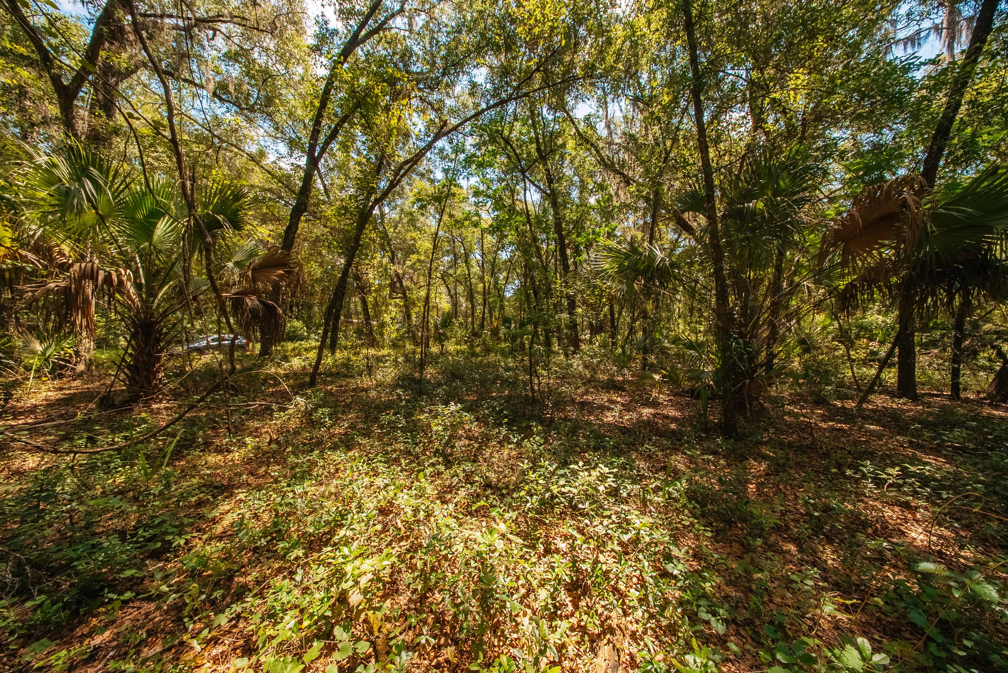 Property View 10