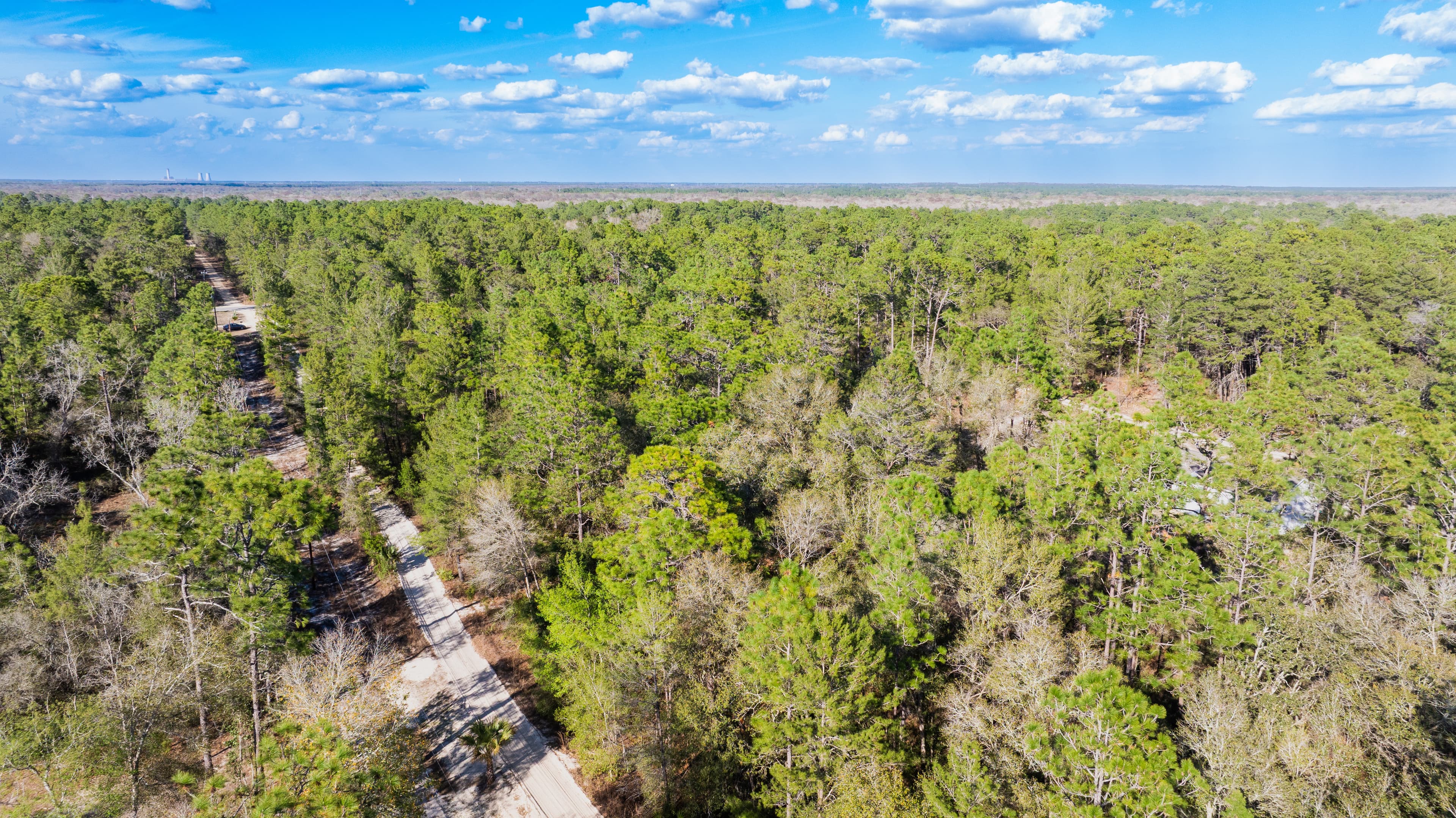 Quail Hollow Hideaway: 0.23 Acres in Florida's Riverside Frontier