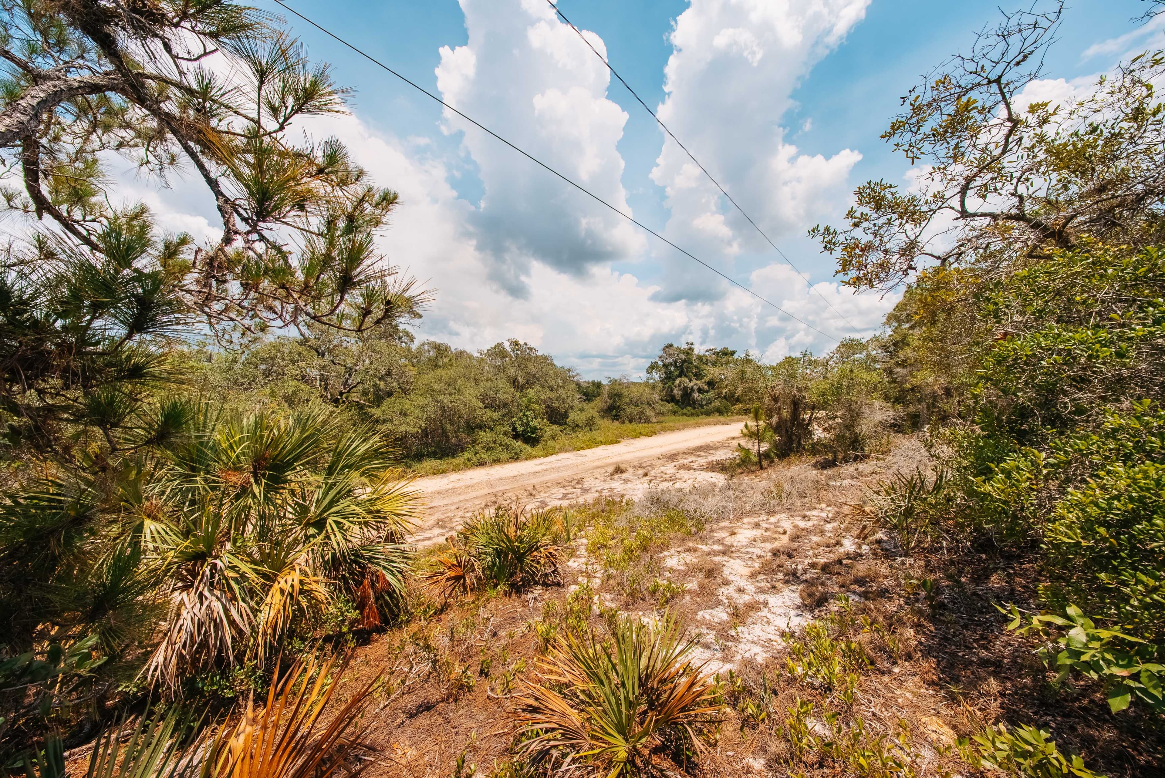 0.24 acre residential zoned land for sale in Highlands County, FL — photo 4