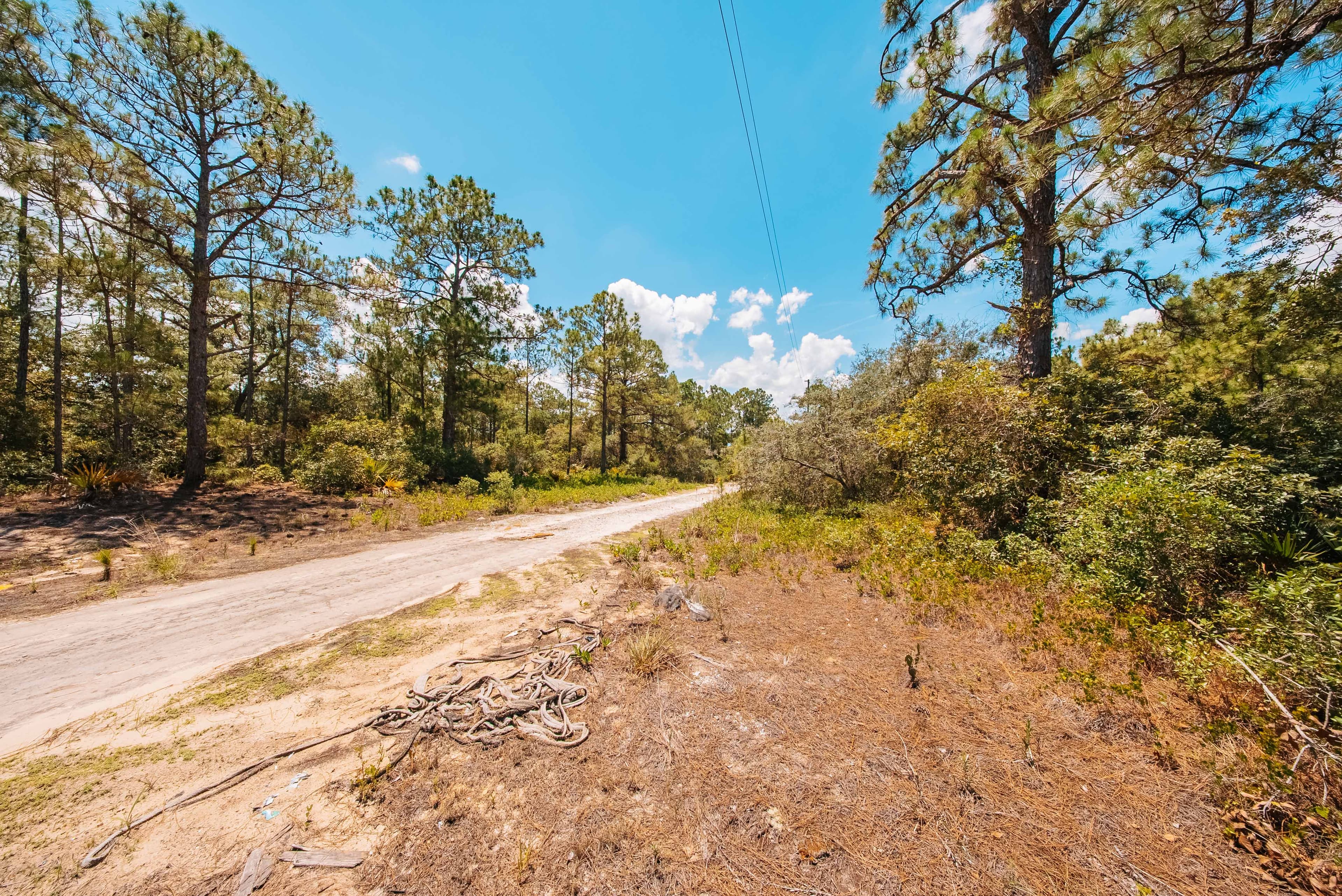  0.24 Acre Build-Ready Lot in Sun N Lakes, Lake Placid — property view 10