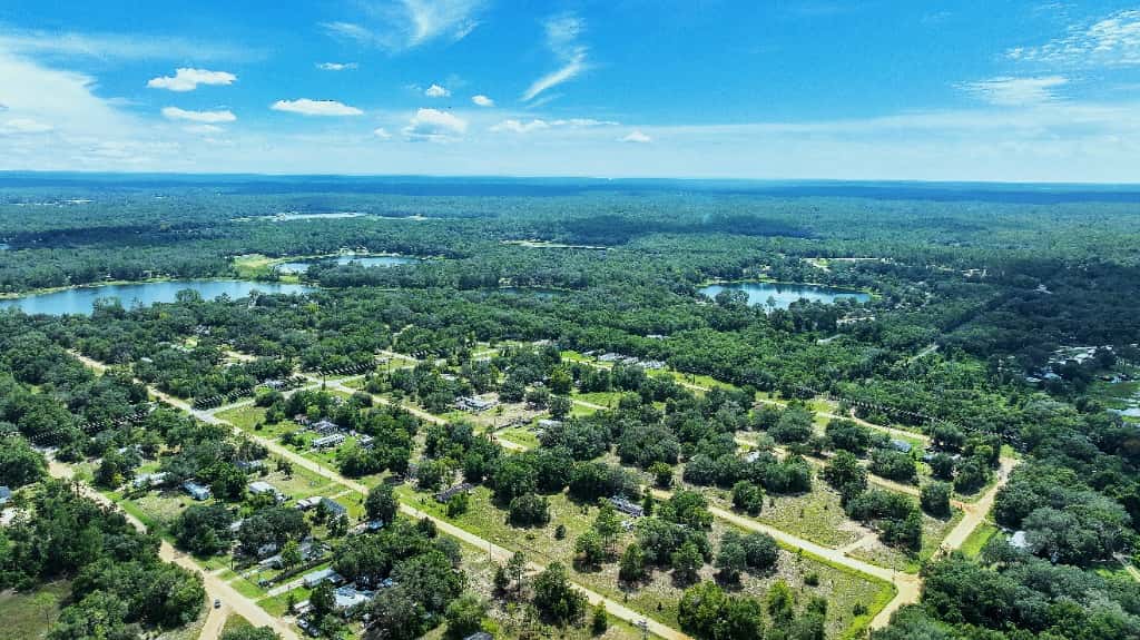 Florida Landscape