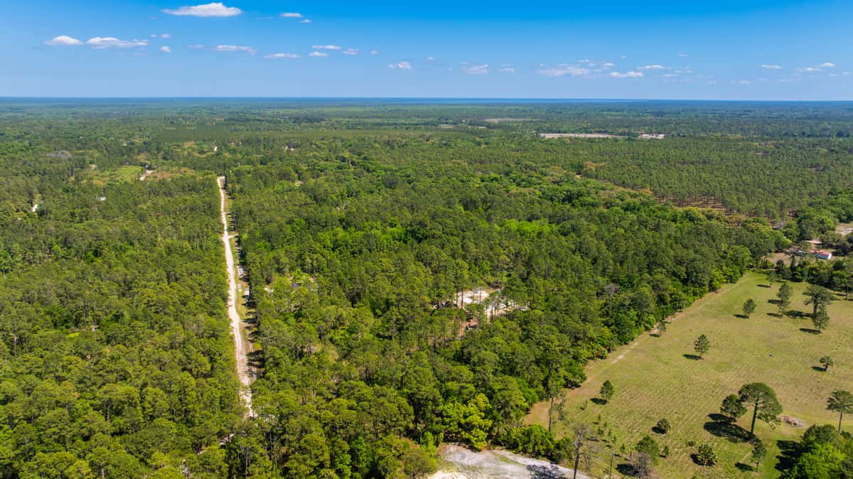 Highlands County Florida Land for Sale: The Best Kept Secret HGTV Just Told Everyone About