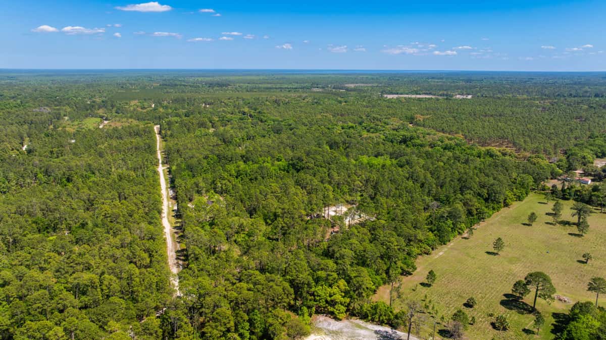 The Dream Home Starts as Dirt: Buying Florida Land for the House Your Family Will Gather At for Decades