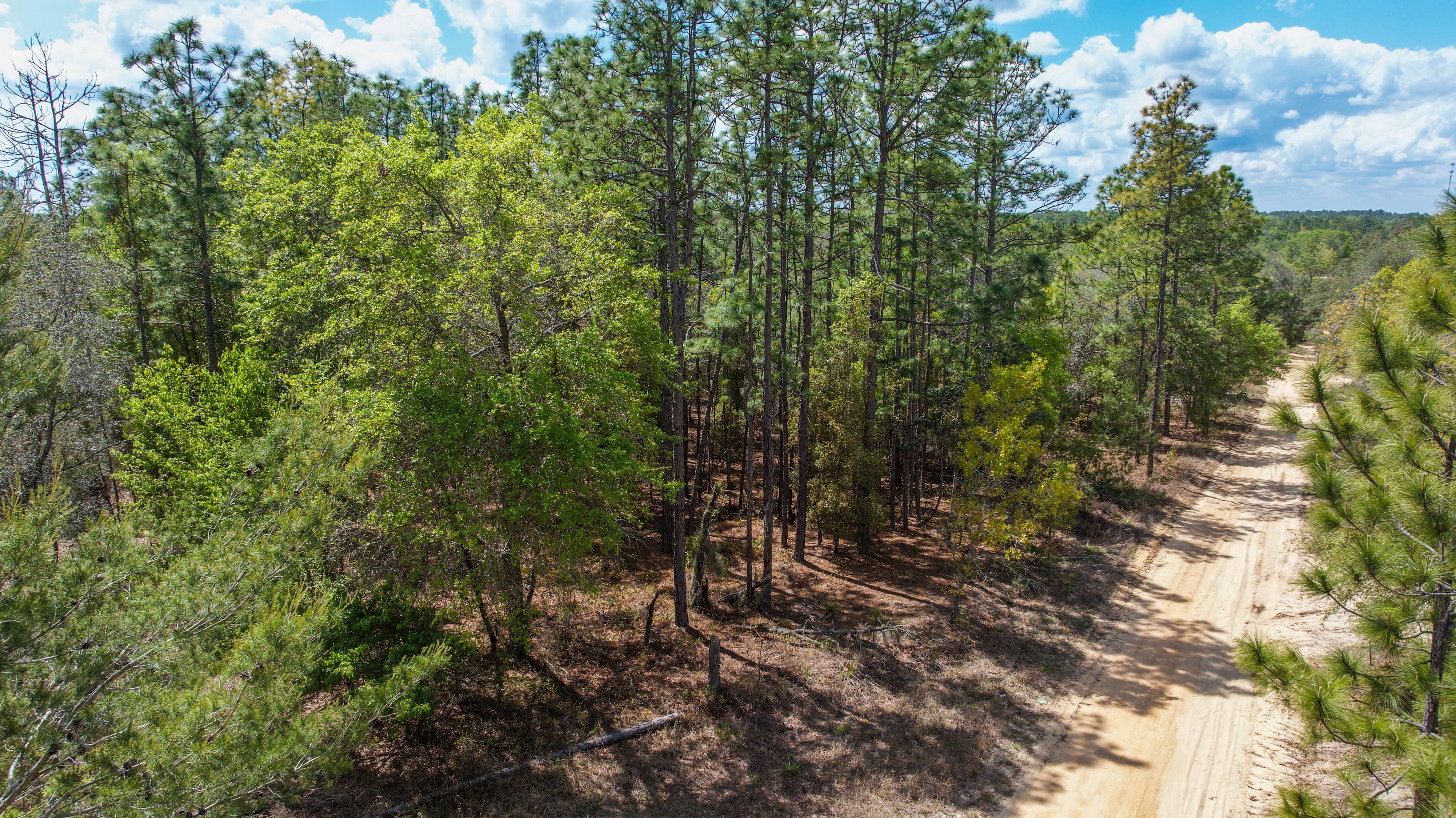 0.3 acre residential zoned land for sale in Putnam County, FL — photo 3