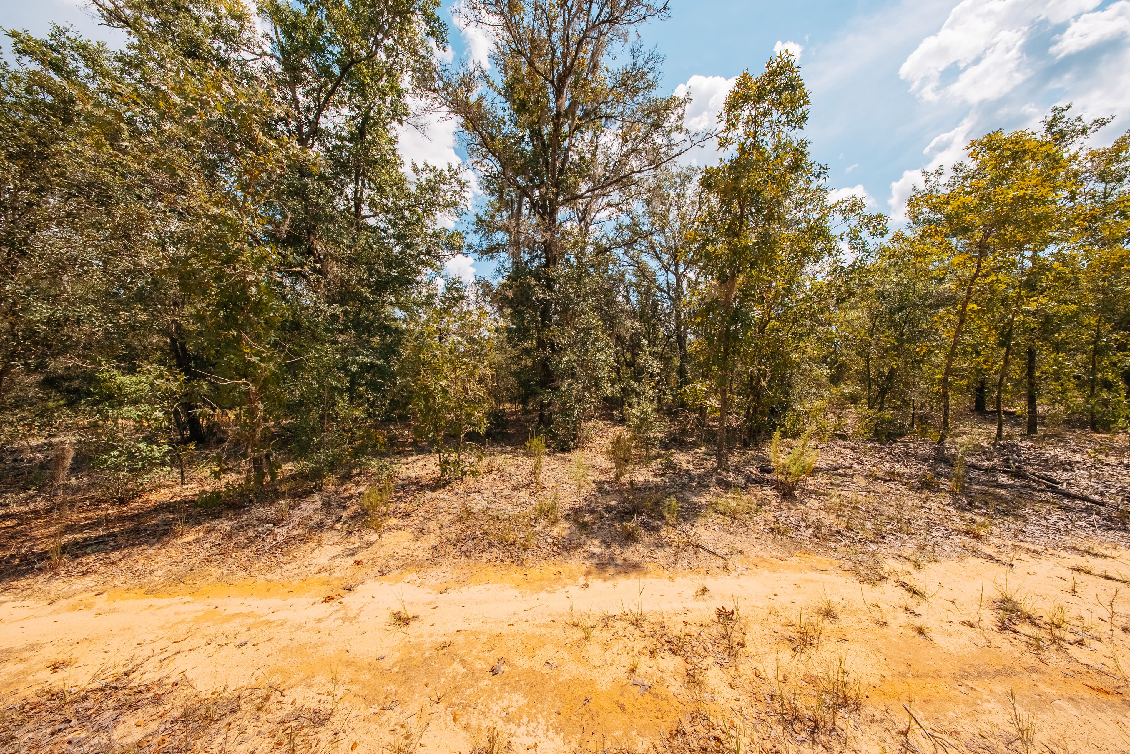 0.20 Acre Build-Ready Lot in Paradise View Estates — property view 13