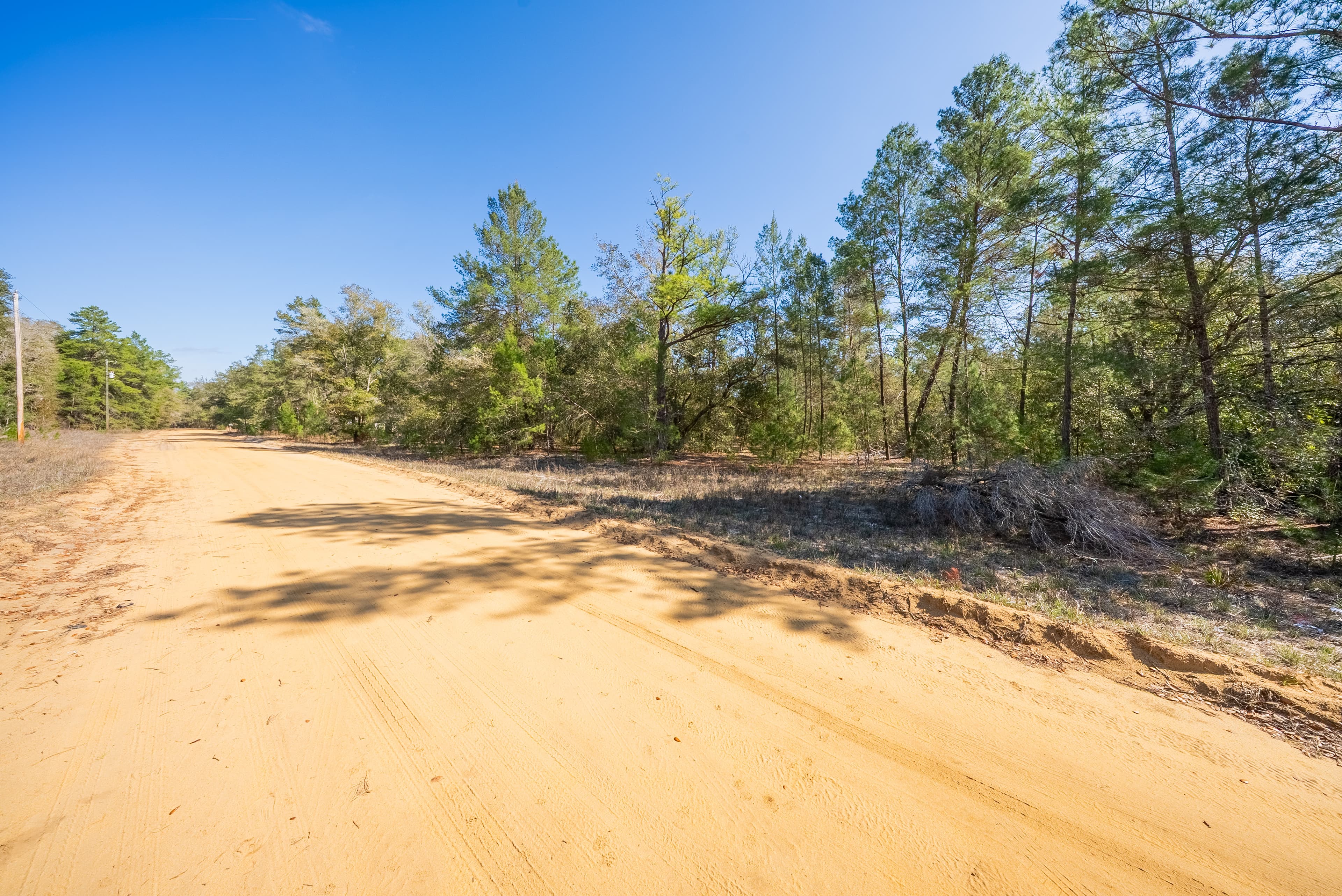 Your Private Escape in Interlachen Lakes — property view 12