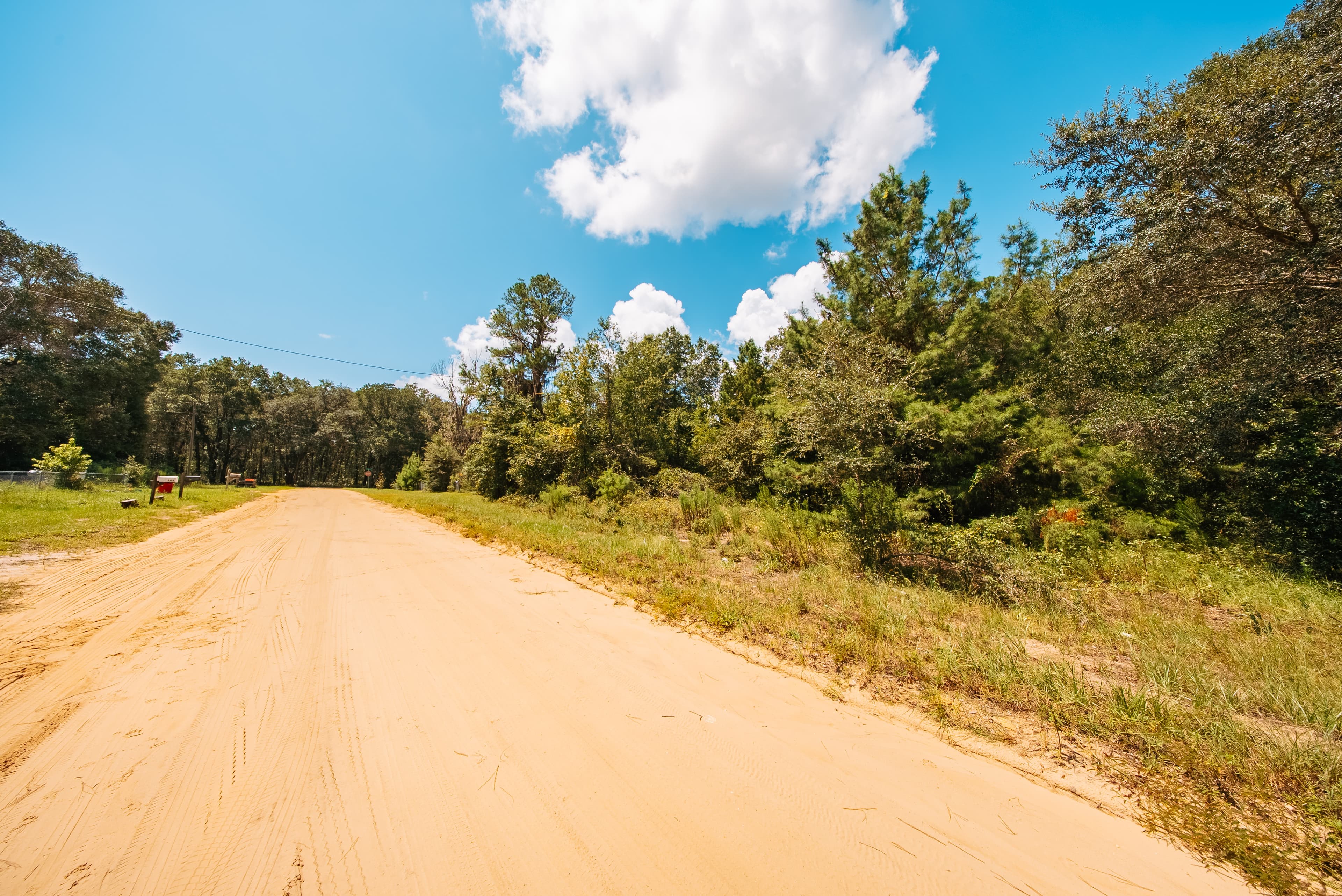 0.215 Acre Build-Ready Lot in Interlachen Lakes Estates — property view 5