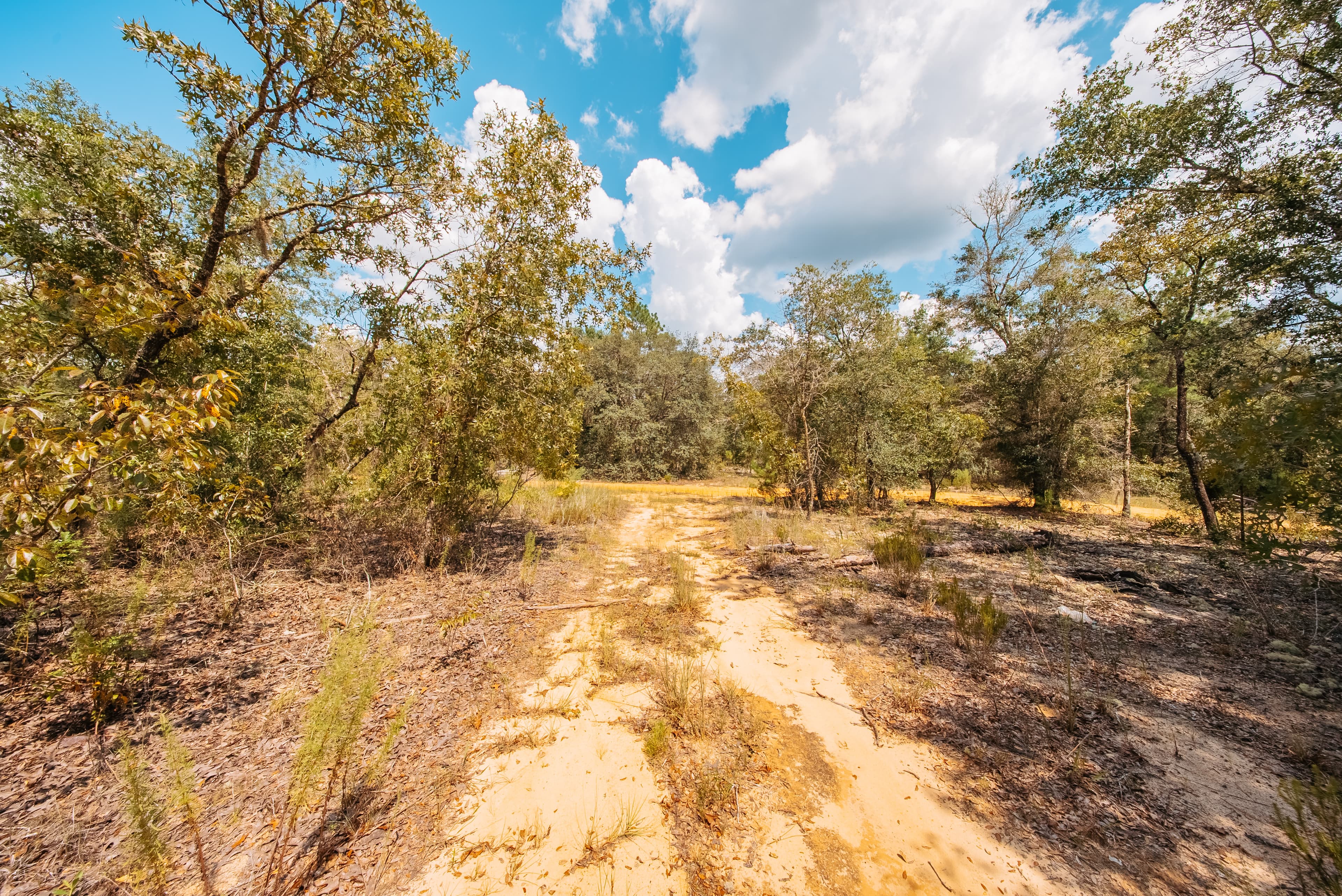 0.20 Acre Build-Ready Lot in Paradise View Estates — property view 7