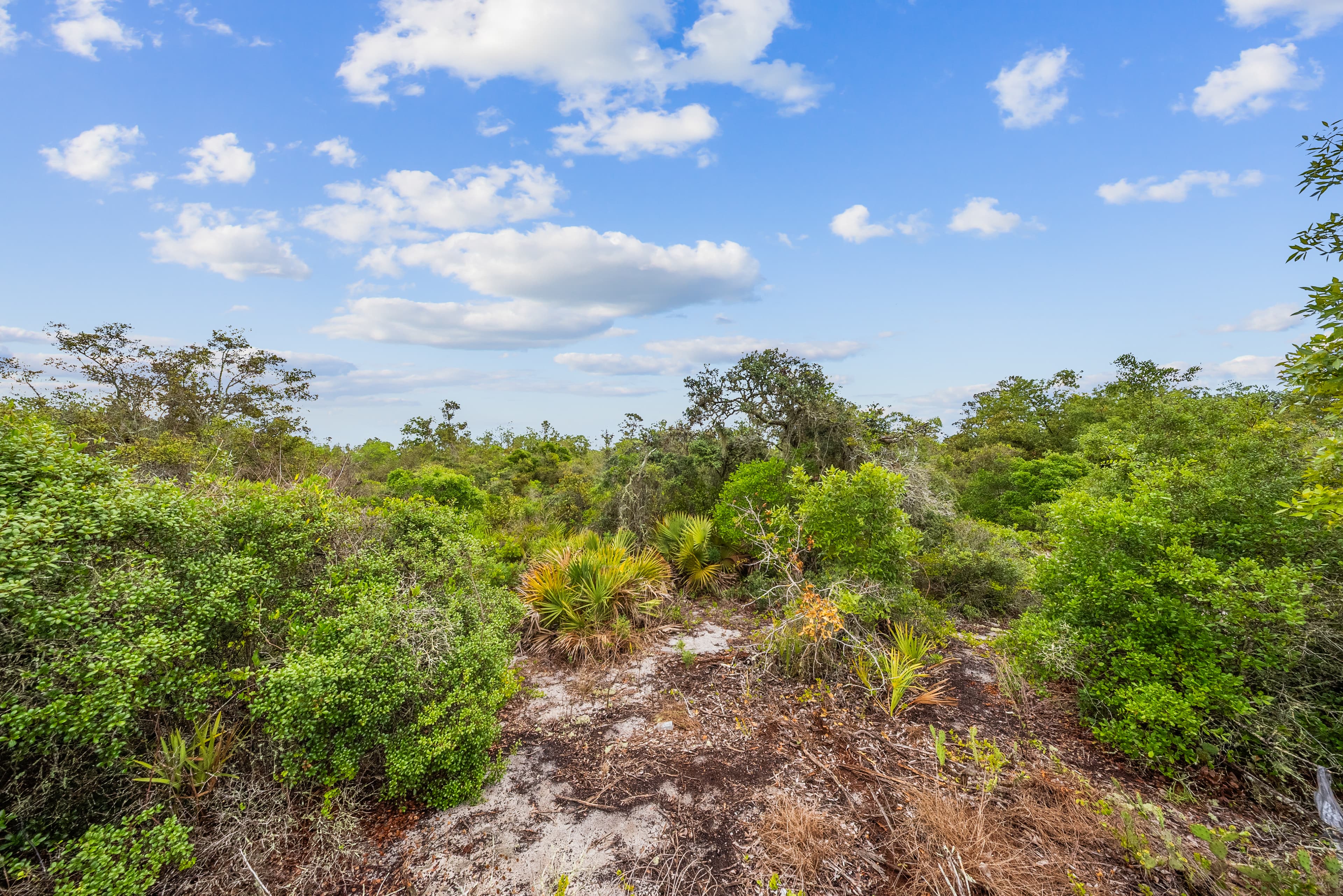 The Morningside Estate: 0.23 Acres of High-Elevation Site-Built Land — property view 9
