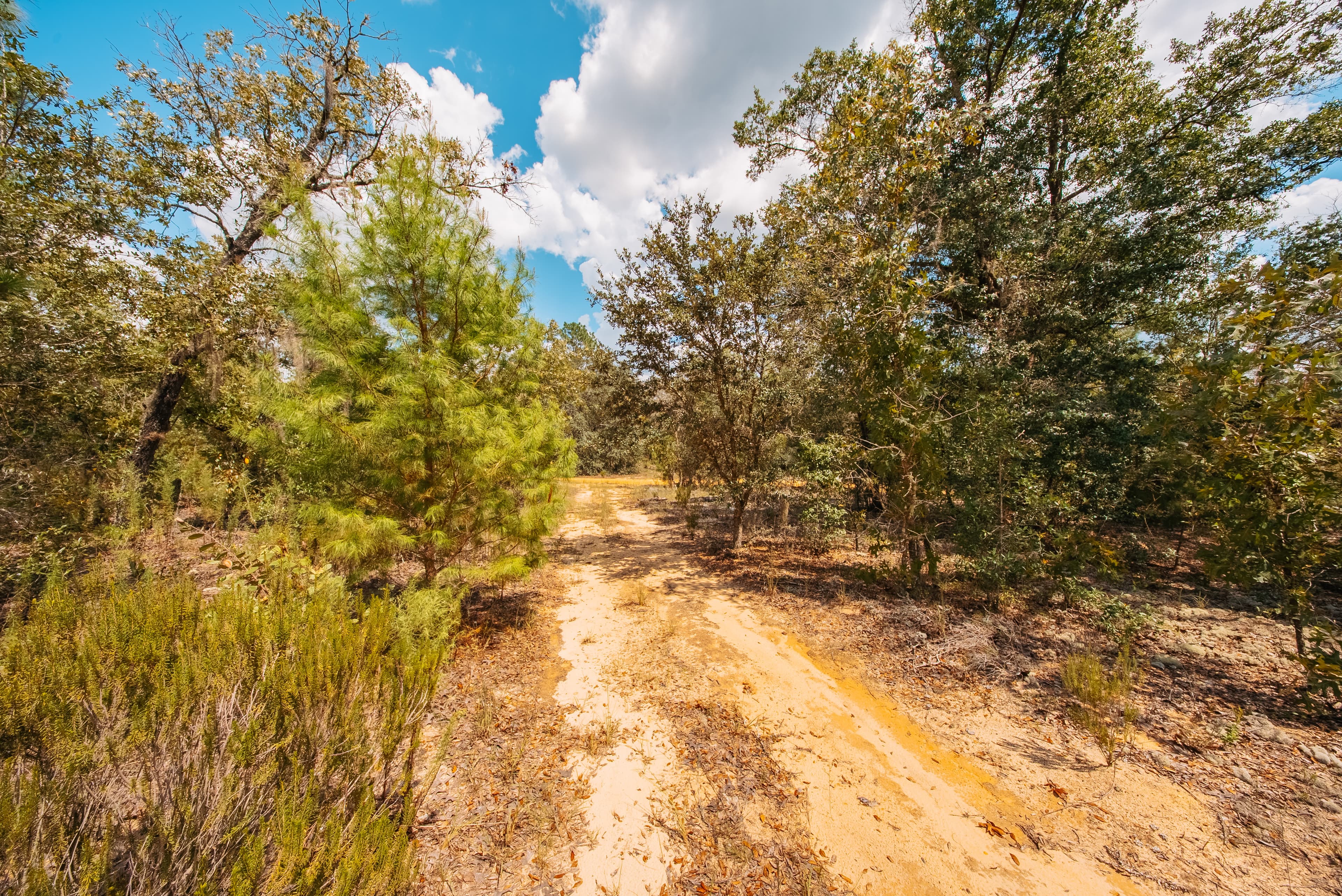 0.20 Acre Build-Ready Lot in Paradise View Estates — property view 12