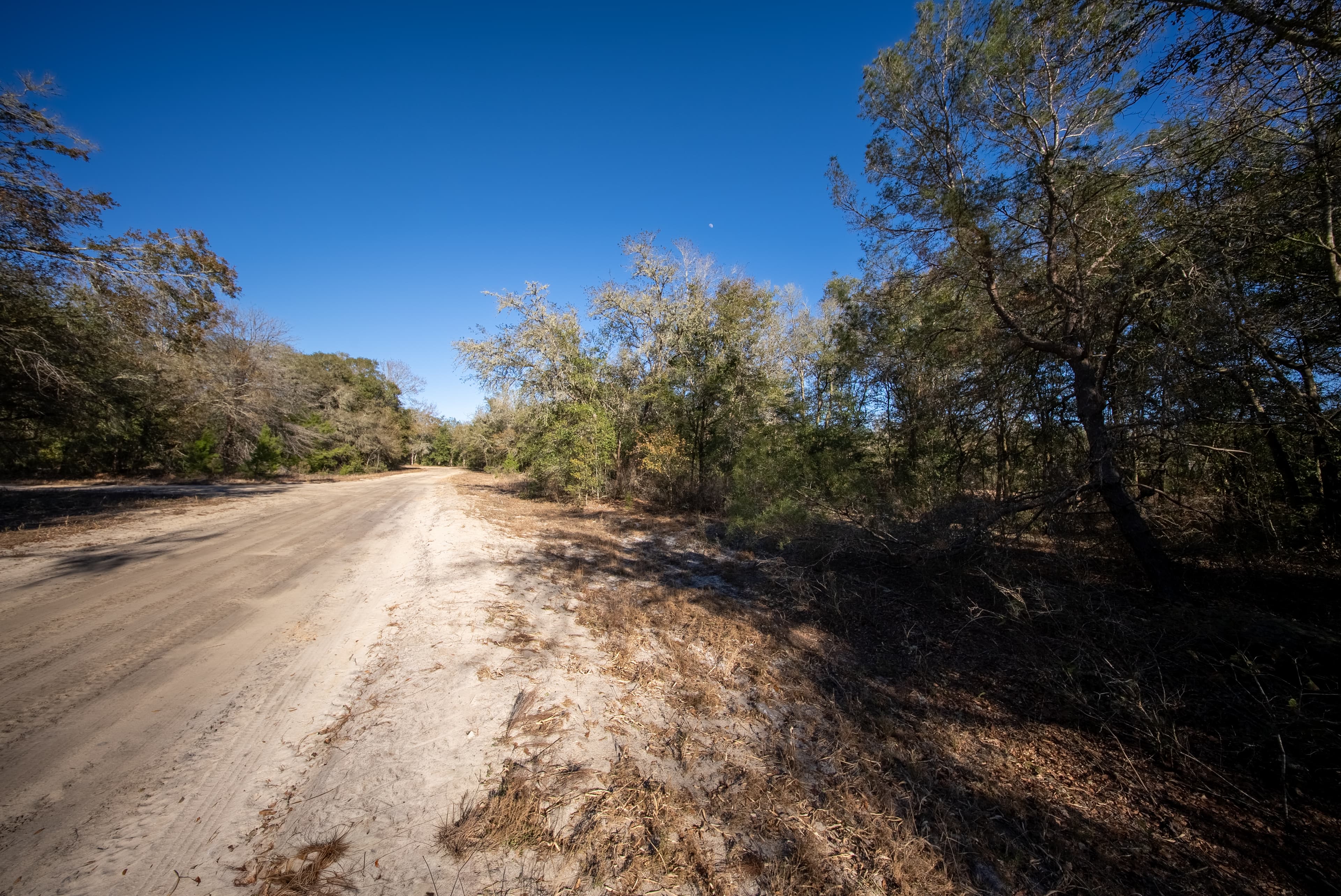 Your Private Sanctuary on Cameron Drive — property view 14