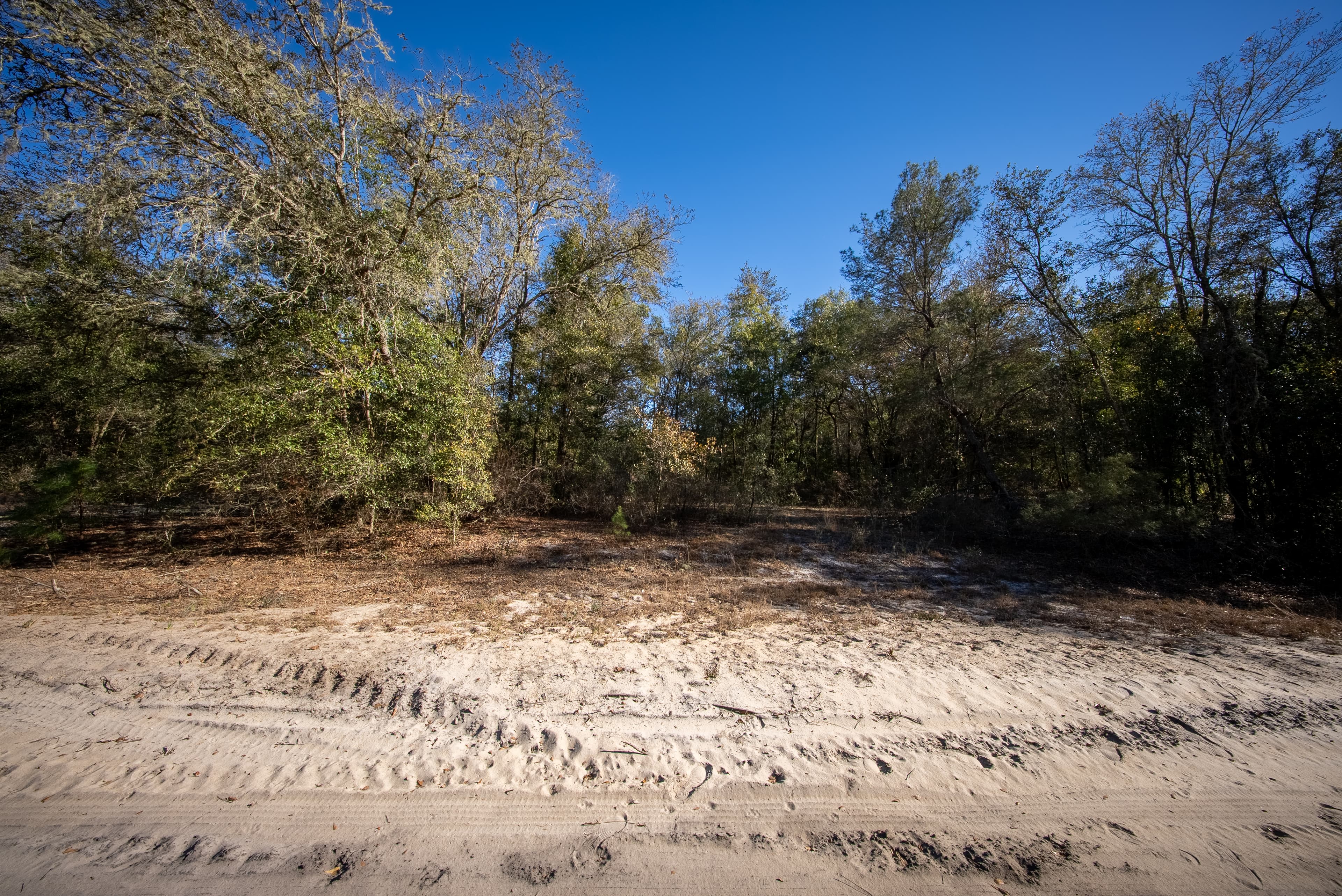 Your Private Sanctuary on Cameron Drive — property view 15