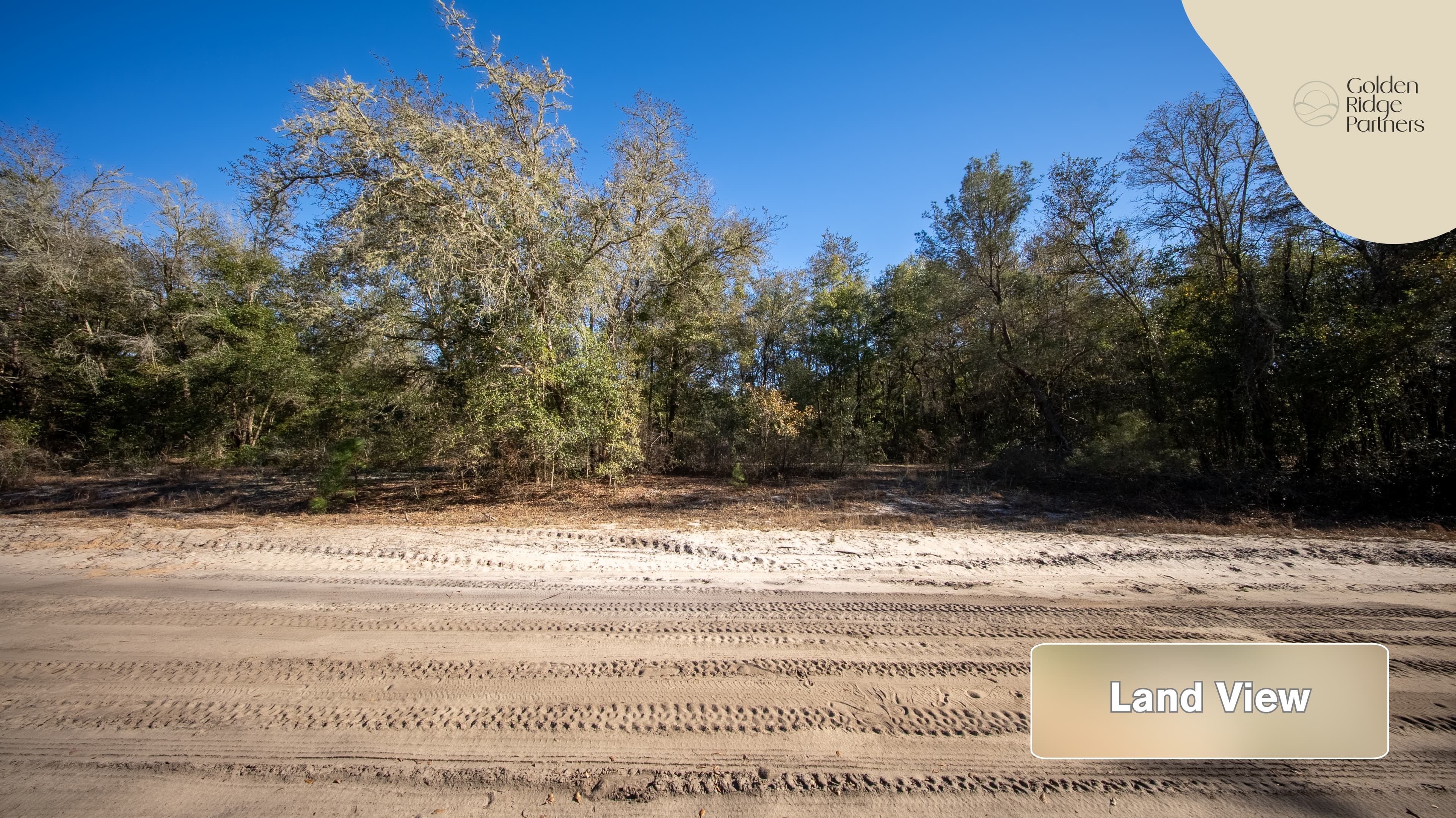 0.26 acre residential zoned land for sale in Putnam County, FL — photo 4