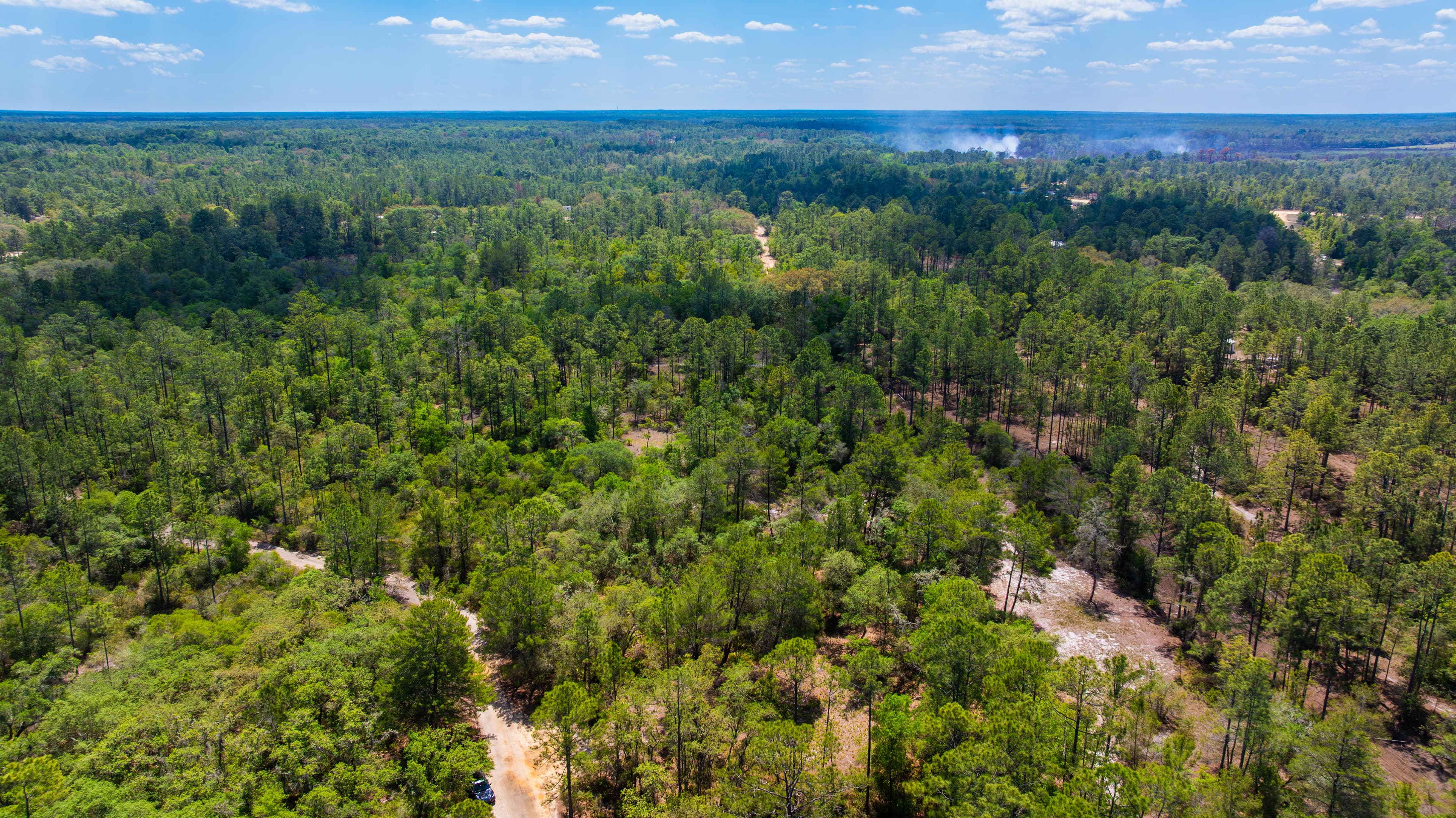 0.37 acre residential zoned land for sale in Putnam County, FL — photo 3