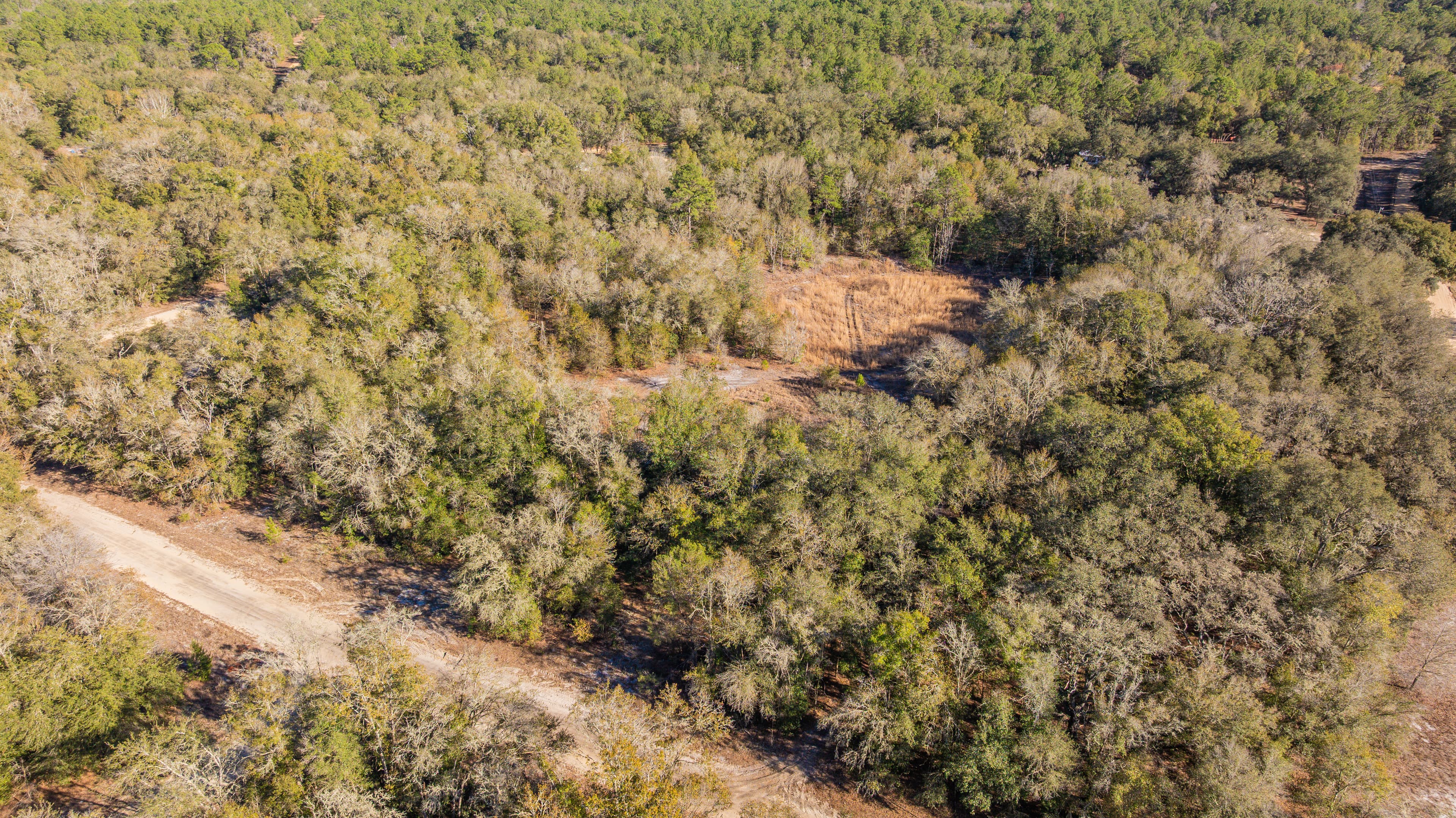 Your Private Sanctuary on Cameron Drive — property view 8