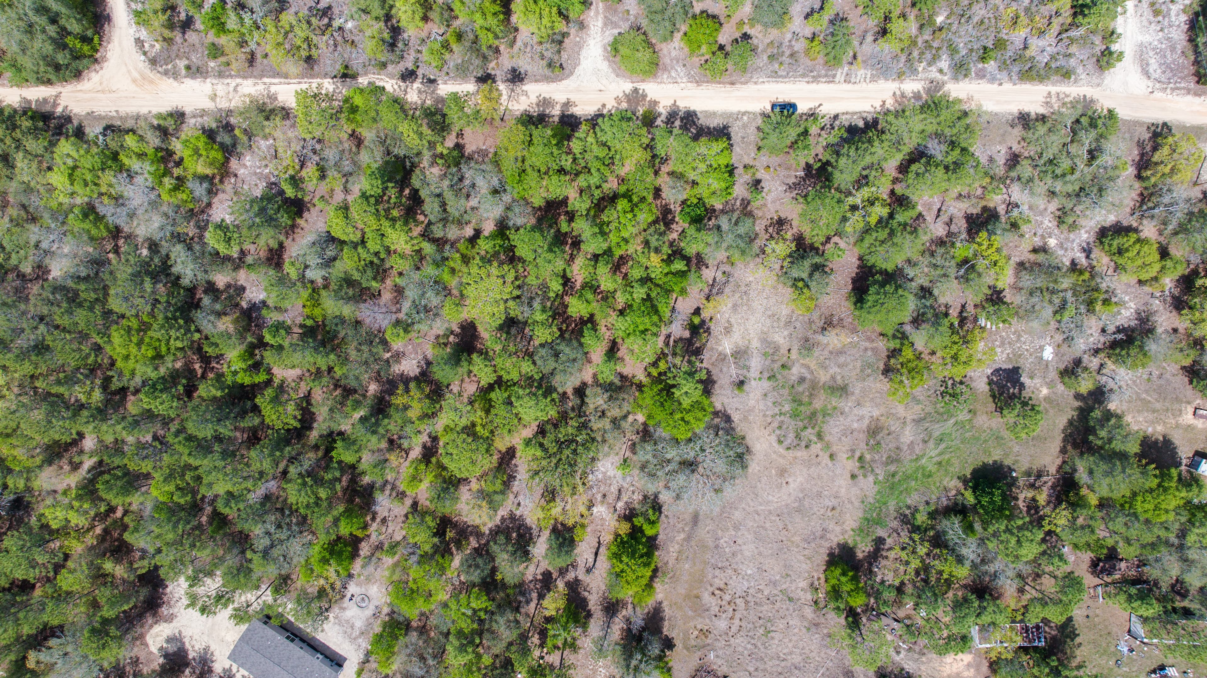 High-Ground Hawthorne: 0.3 Acres of Freedom — property view 7
